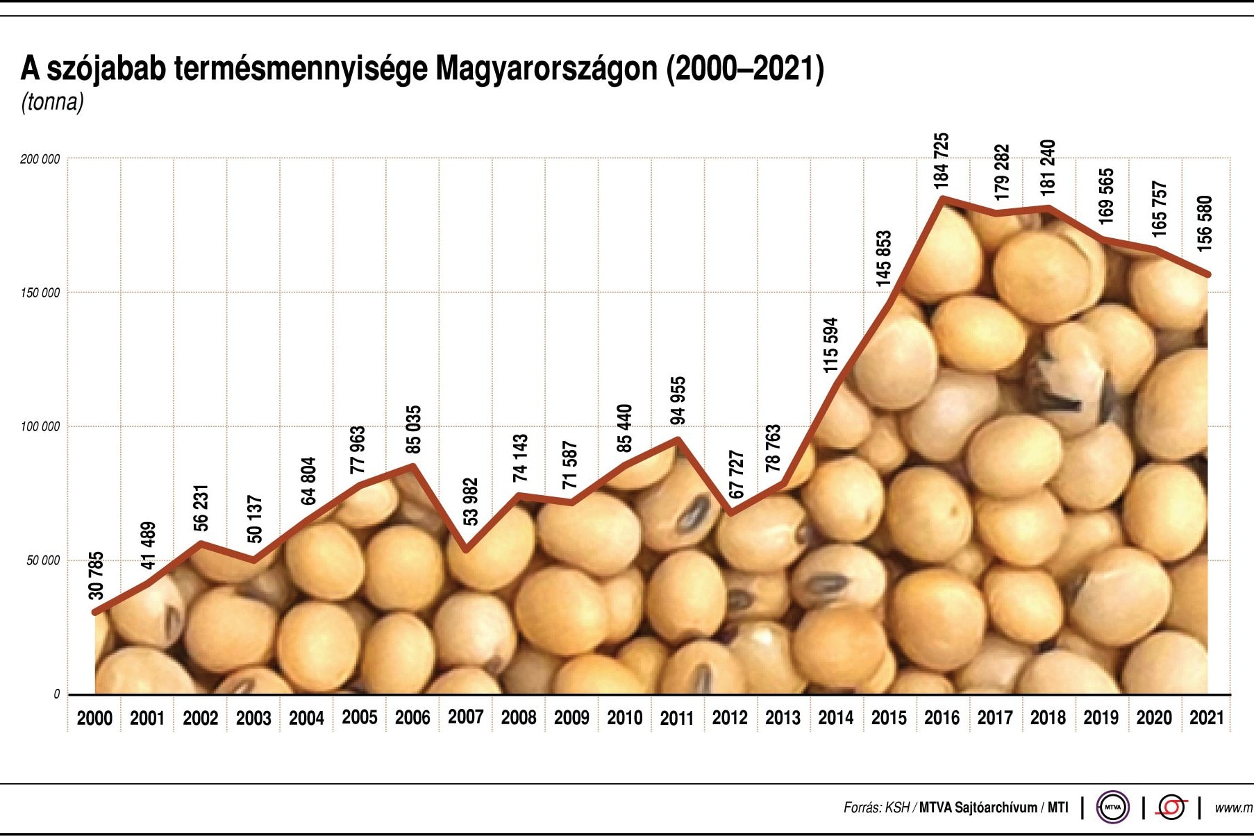 Agrárminisztérium: van fejlődési potenciál a szójaágazatban