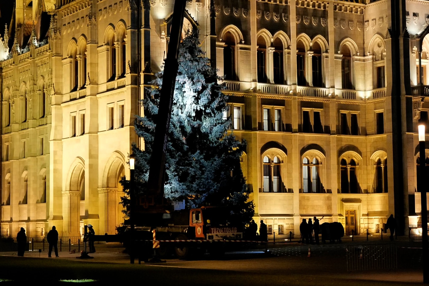 Egy hajdúsági fenyőfa lesz idén az ország karácsonyfája