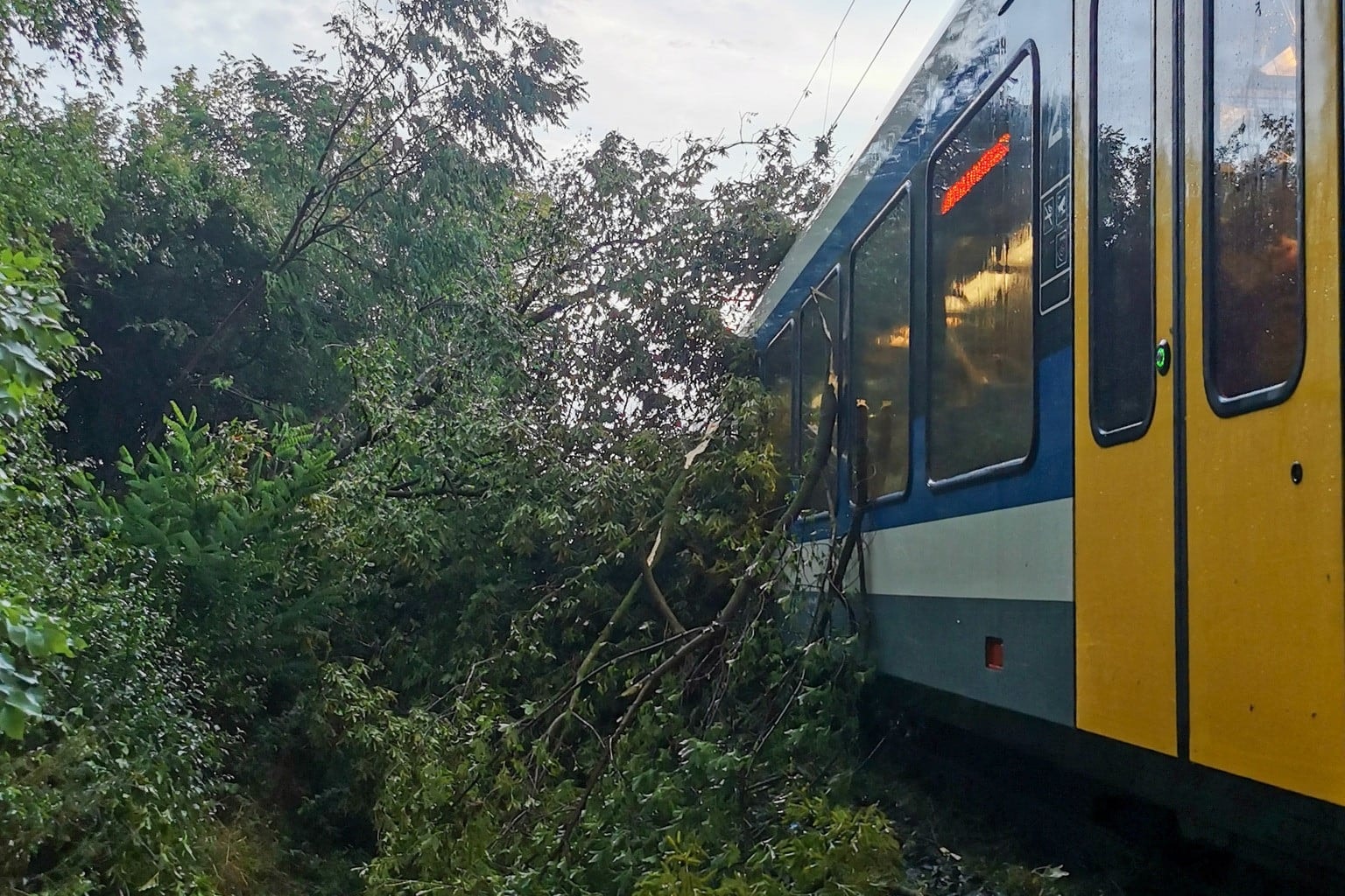Halálra gázolt a vonat egy embert Érden