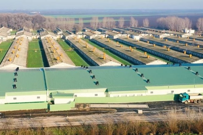 Modern sertéstelepeket adtak át Hajdú-Bihar vármegyében