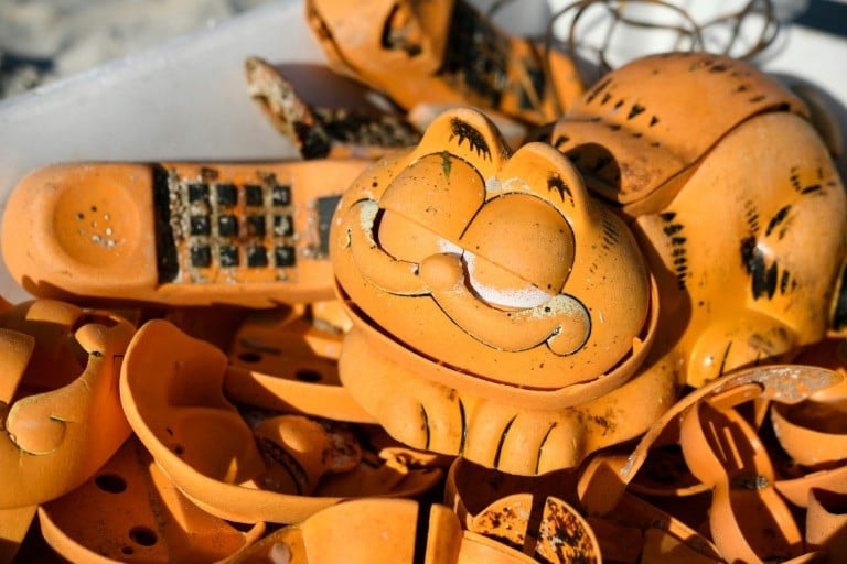 A partokon folyamatosan felbukkanó Garfield-telefonok rejtélyét egy helyi gazda oldotta meg