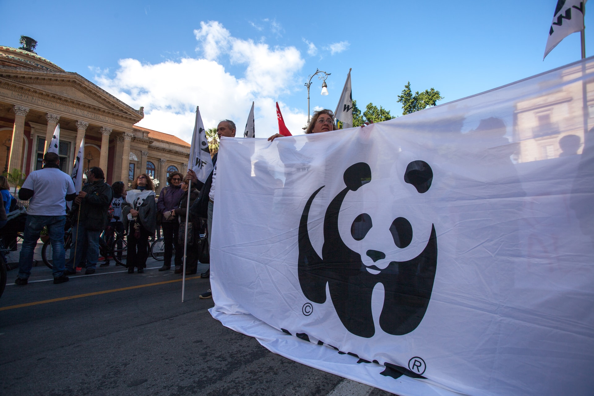Külföldi ügynökké minősítette Oroszország a WWF-t