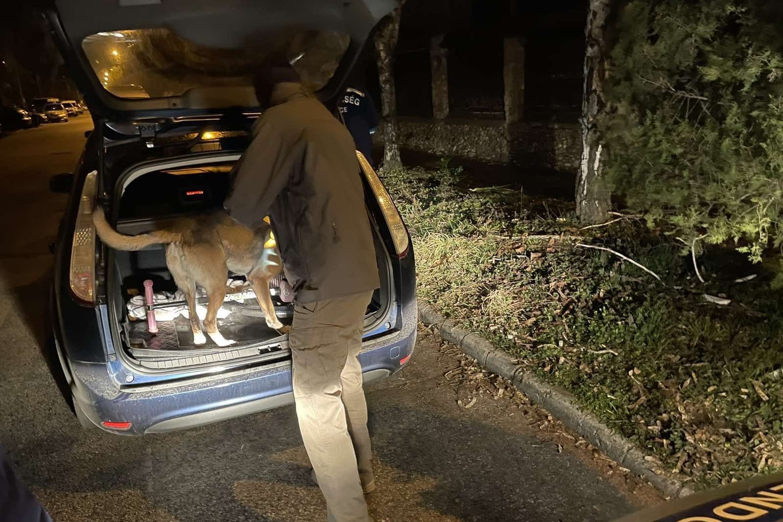 Elfogtak egy drogdílert Budapesten – VIDEÓVAL