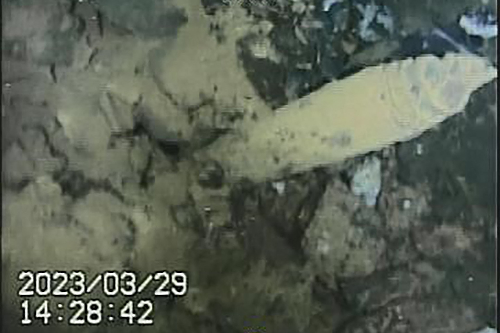Aggasztó képek készültek a fukusimai atomerőműről