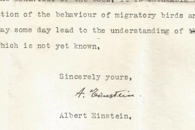 Einstein azt állította, hogy az állatoknak szuper érzékszerveik vannak