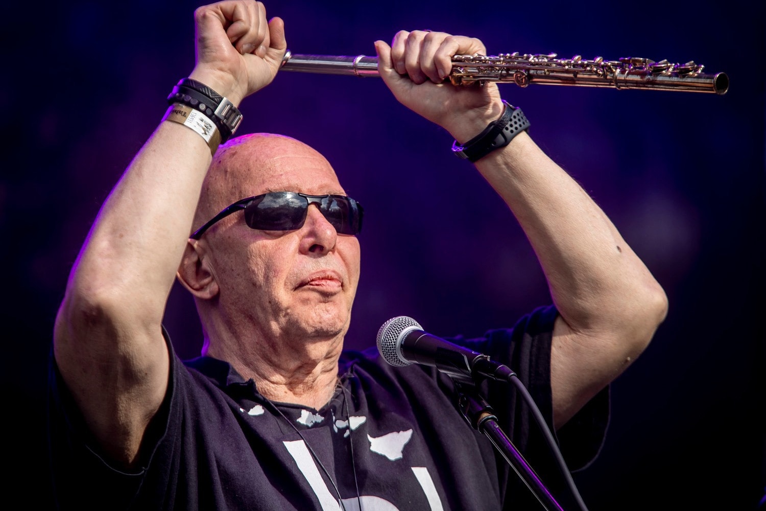 Török Ádám-emlékkoncert: összeállt a fellépők listája