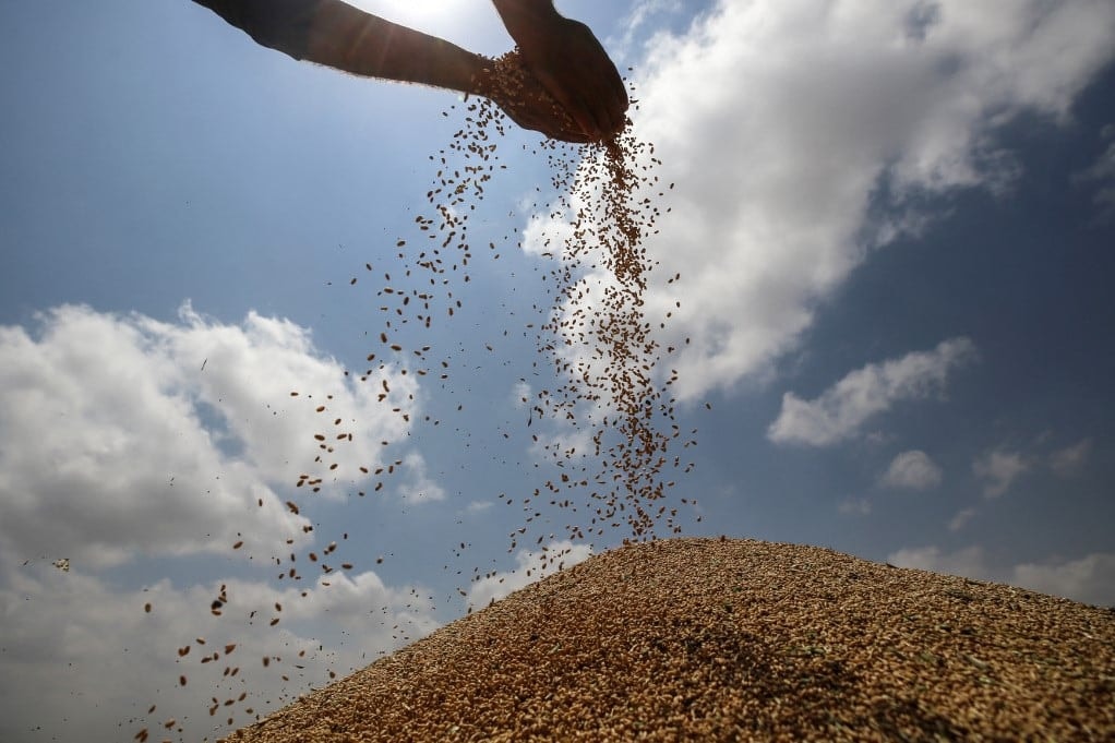 A V4 agrárkamarái határozott lépéseket kérnek az uniós termelők érdekében
