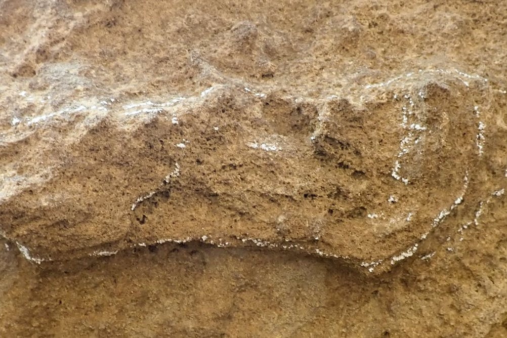 A világ legrégebbi Homo Sapiens lábnyomát azonosították Dél-Afrikában