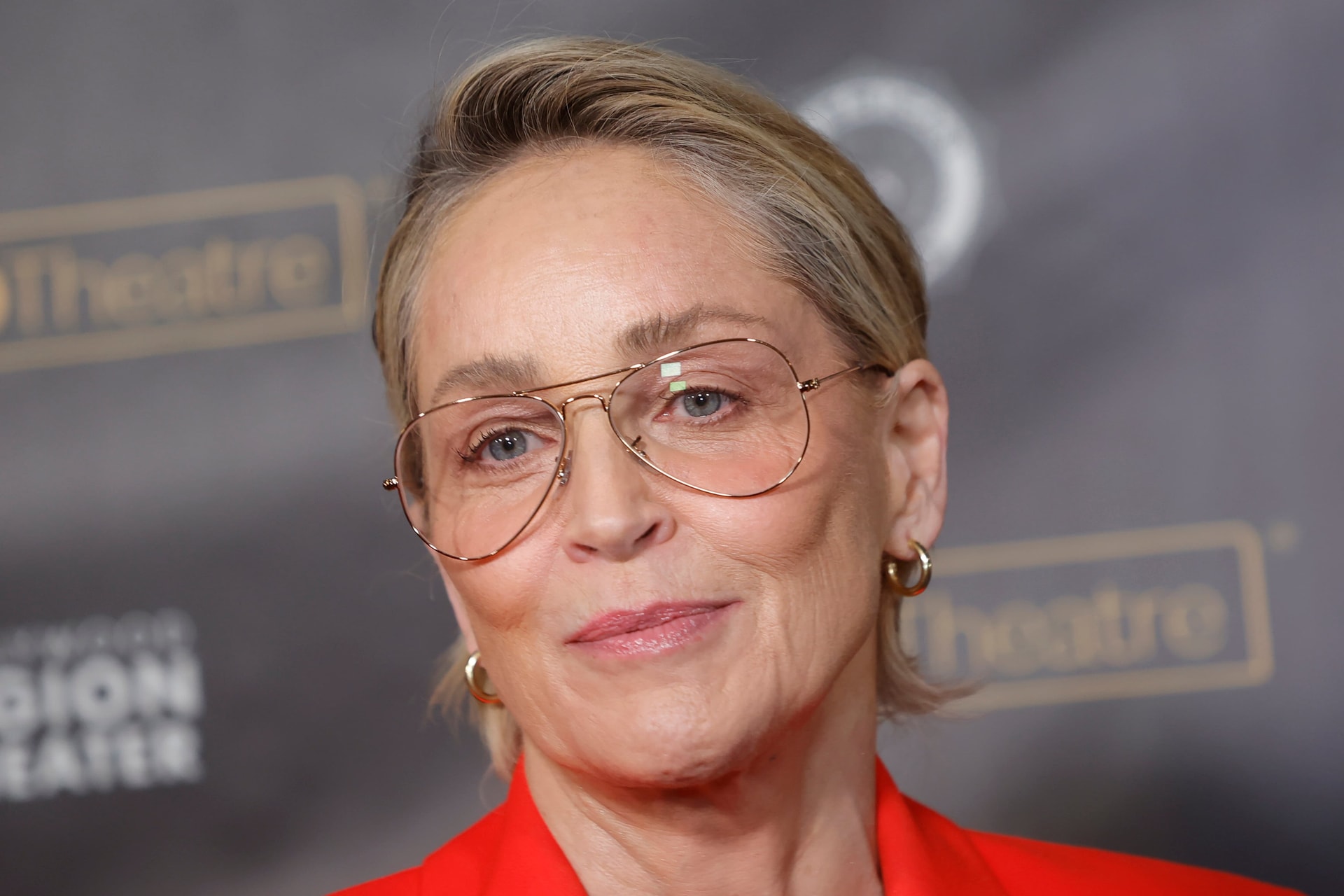 Agyvérzése után Hollywood hátat fordított Sharon Stone-nak