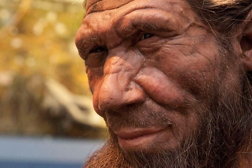 Ebben a neandervölgyiek lehettek az elsők