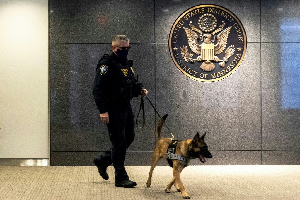 K9 kutyák: a legkeményebb szuperkatonák