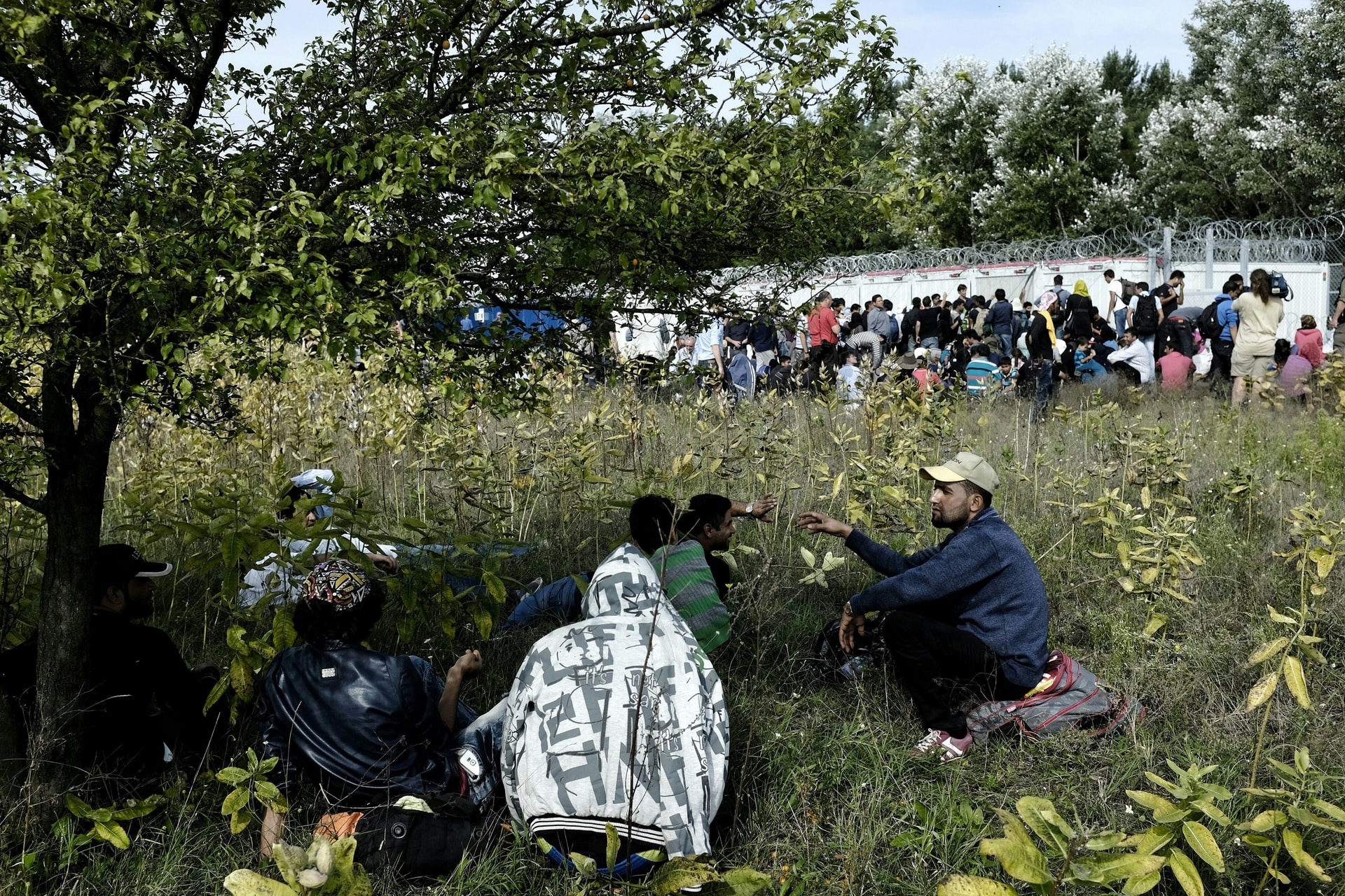 Hollandia felmentést kér az új migrációs paktum alól