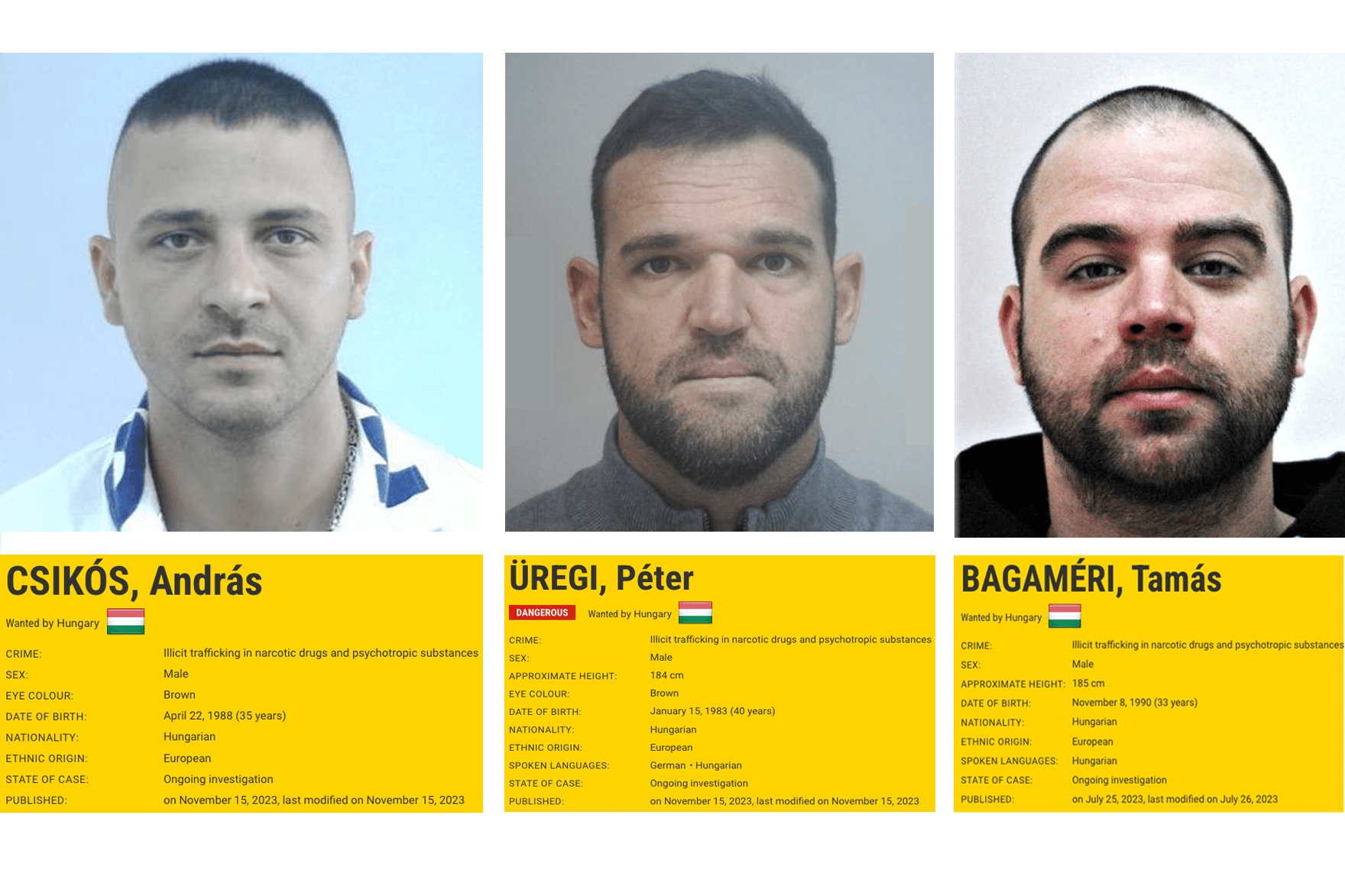 Három magyar került fel az Europol legkeresettebb bűnözőinek listájára