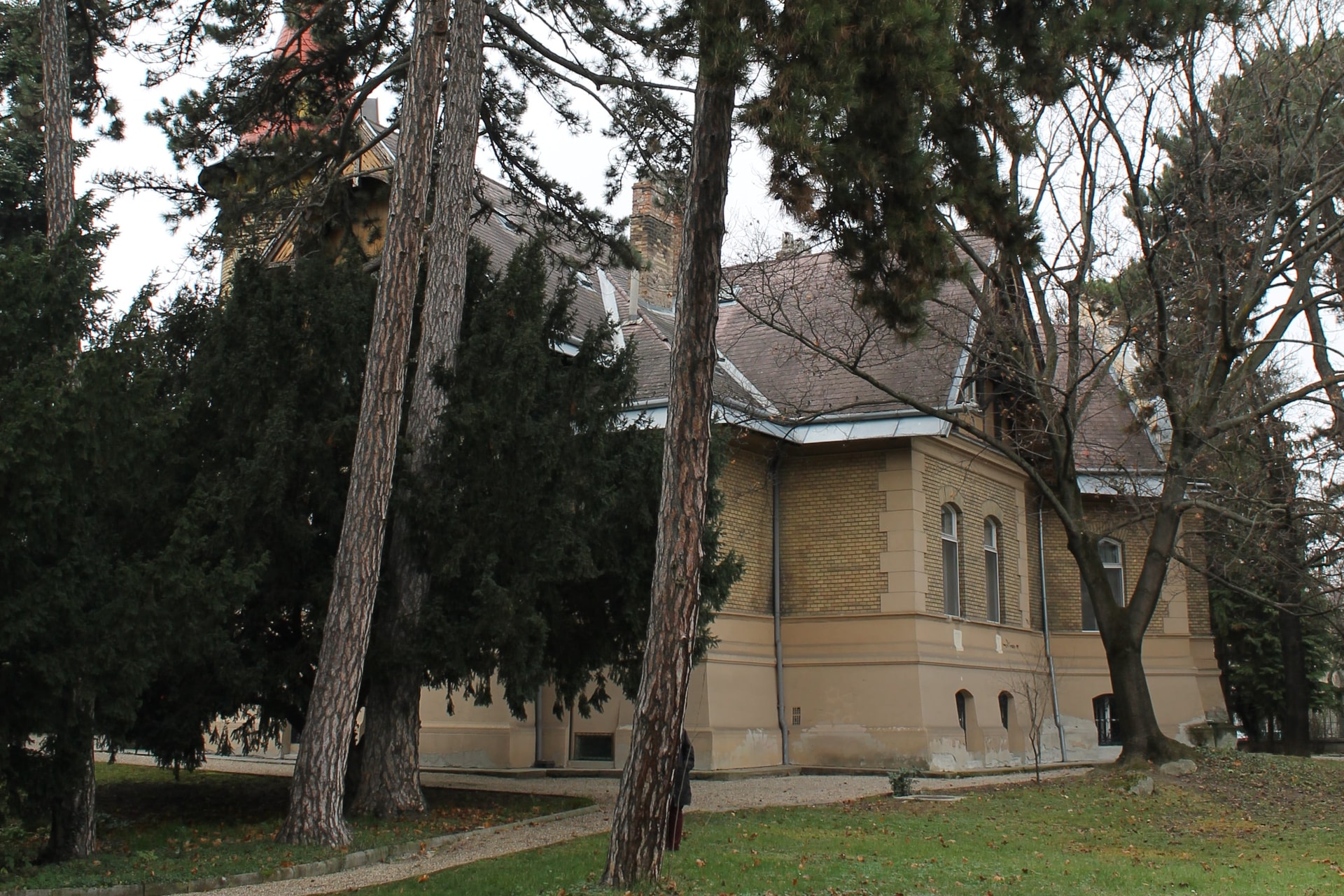 Sopron, Haller-villa, bádogsárkány