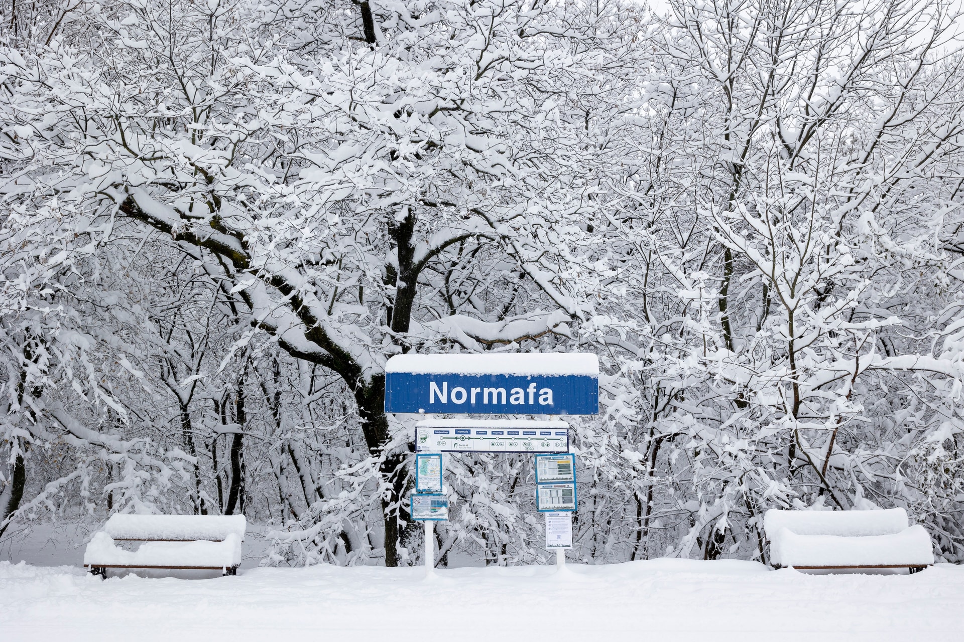 Ha hétvége, akkor Normafa!