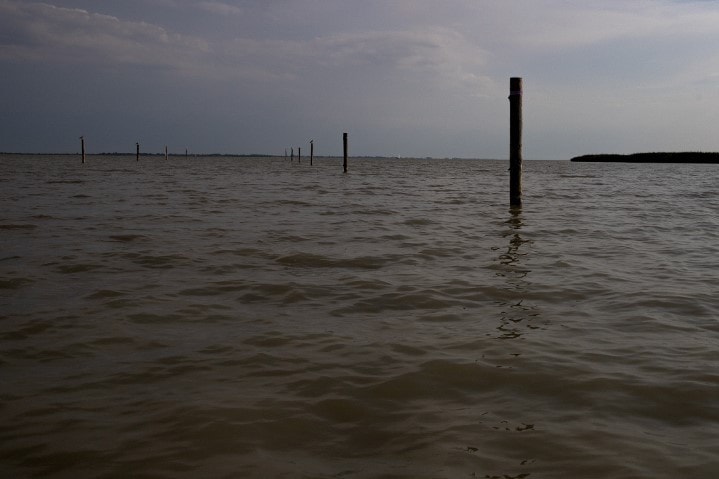Bővítik a Fertő-tó Nemzeti Parkot