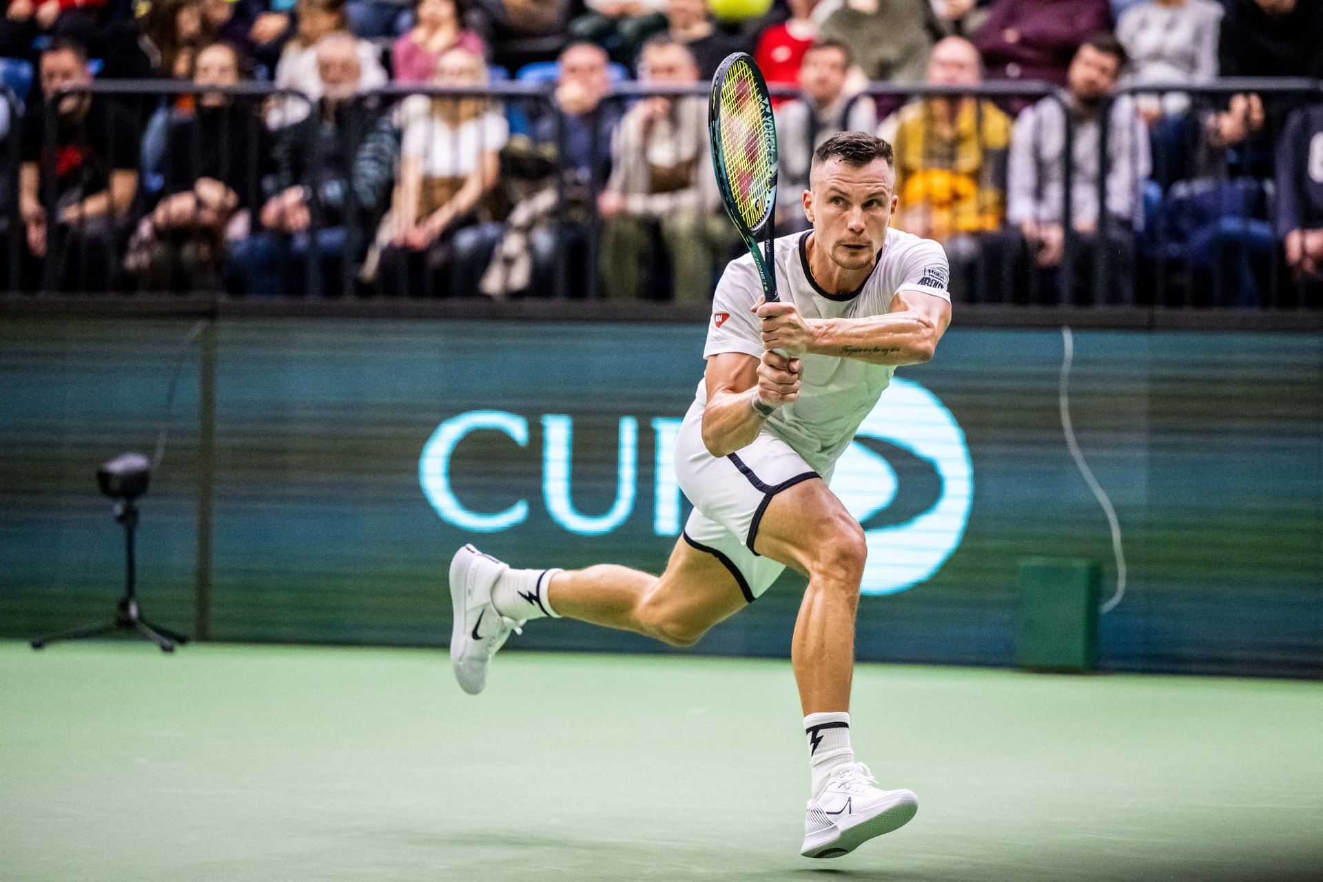Fucsovics kikapott Dimitrovtól