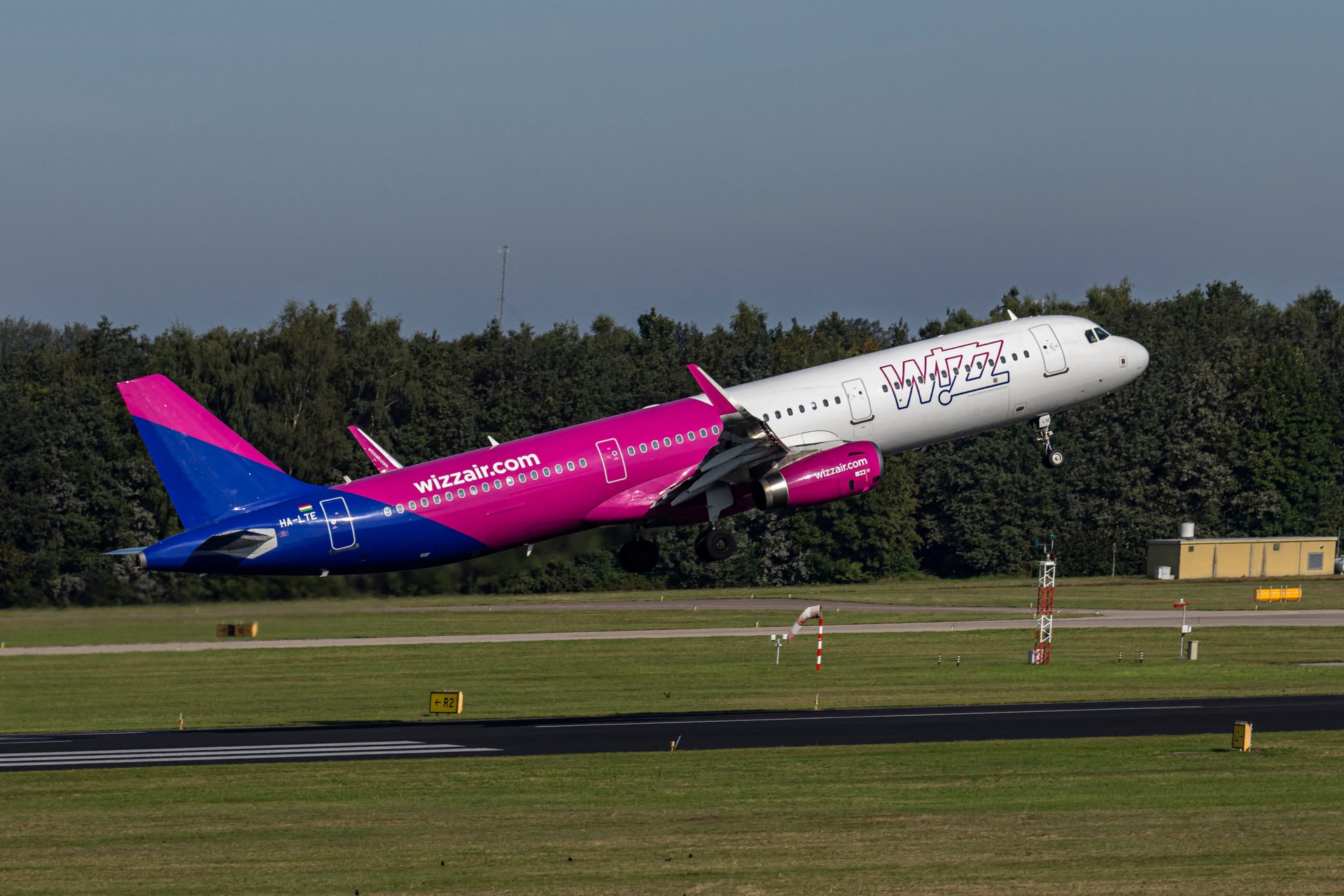 A madarak földre kényszerítették a Wizzair gépét