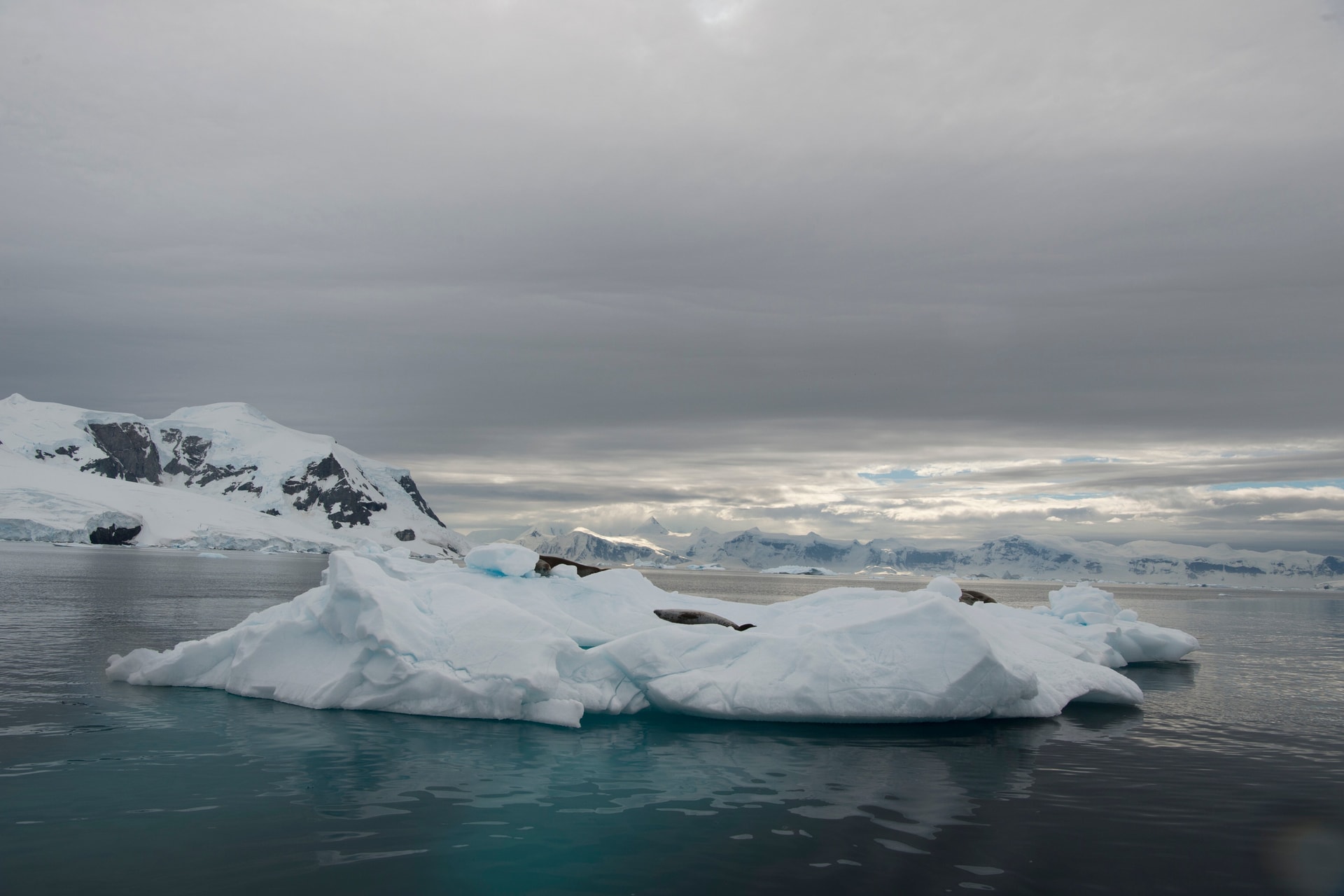 Az „Arctic” és „Antarktisz” görög jelentése meglepően mulatságos