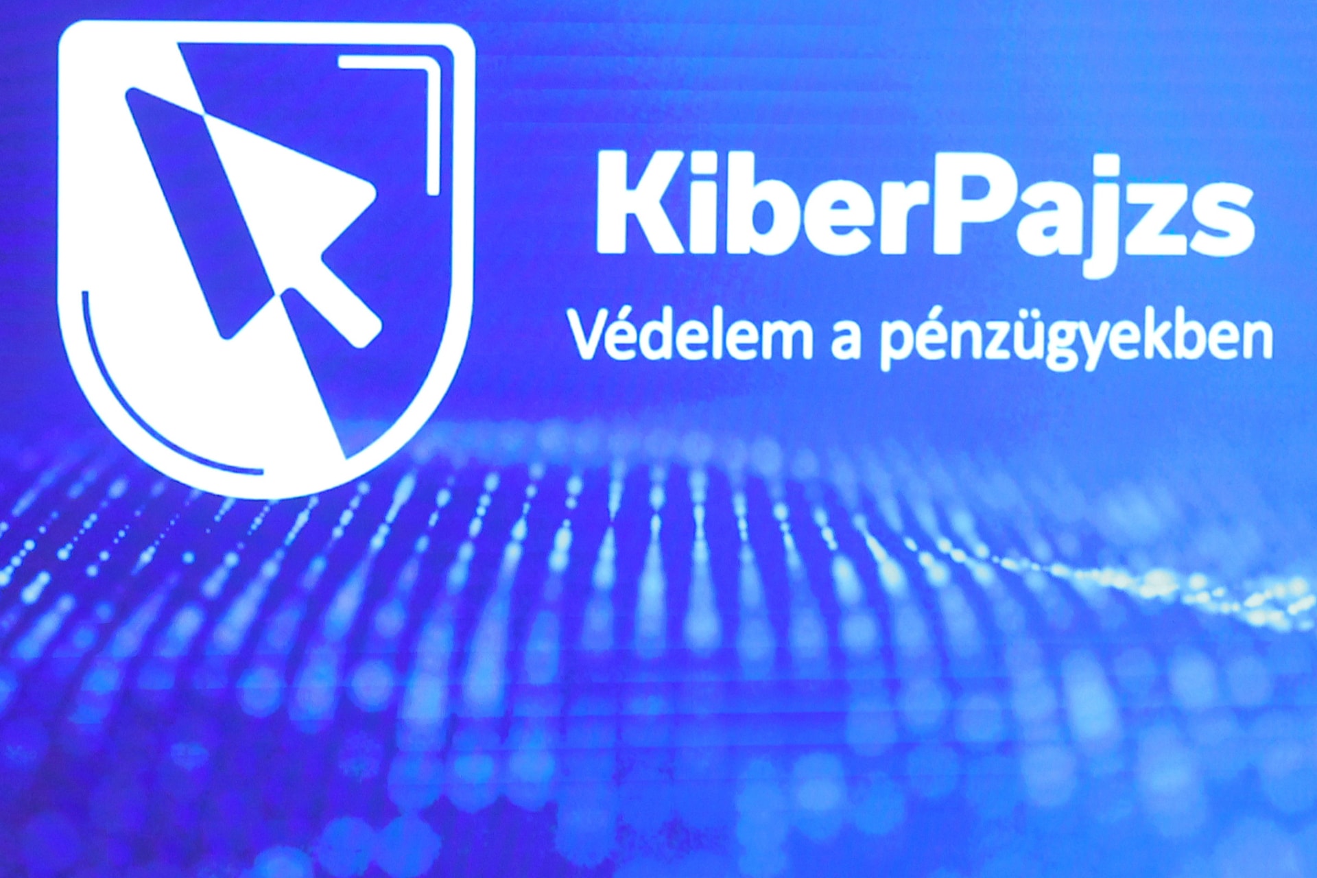 Csaknem kétmillió forintba fájt a meggondolatlan lépés