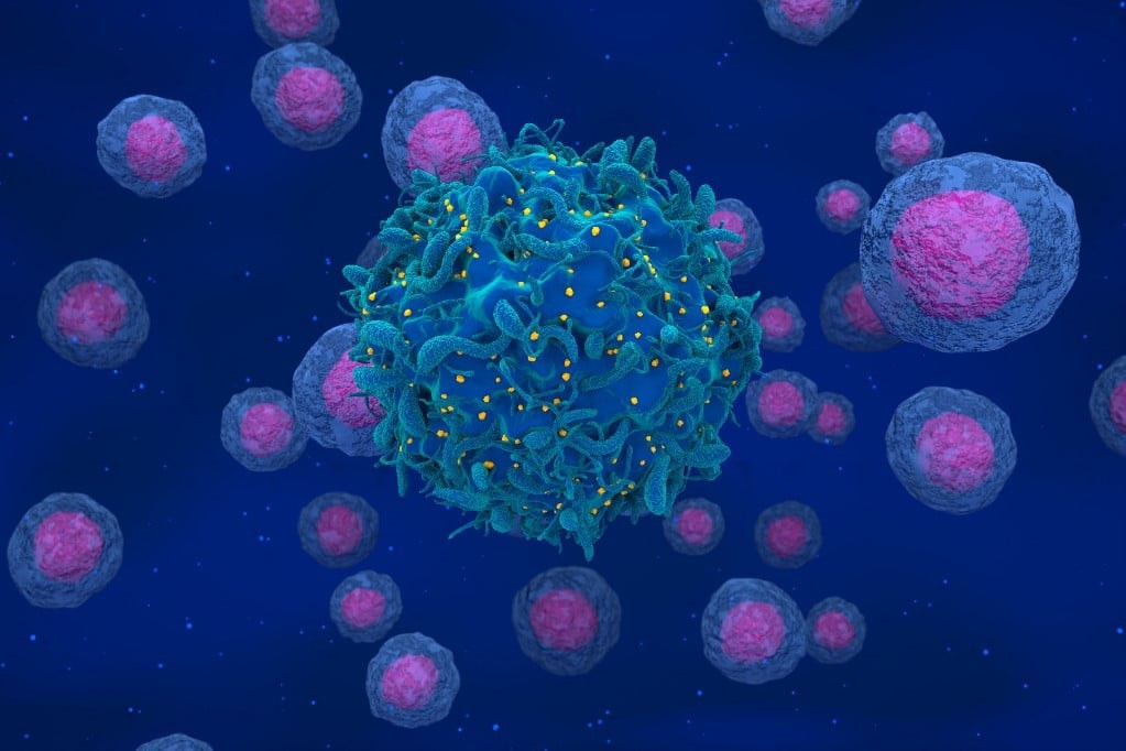 Sikeresen „vágták ki” a HIV-vírust egészséges sejtekből