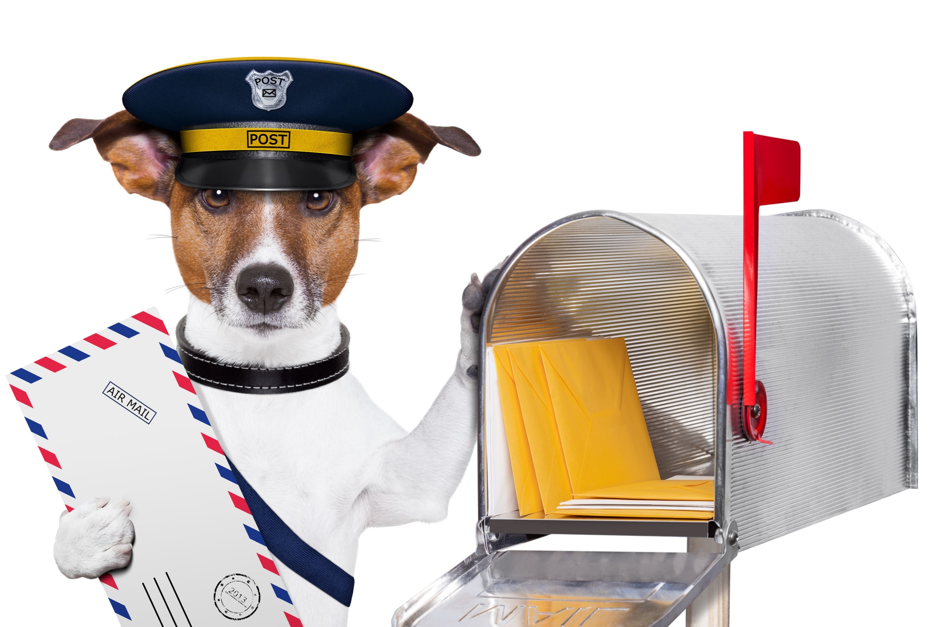 A kutya-postás „barátság"