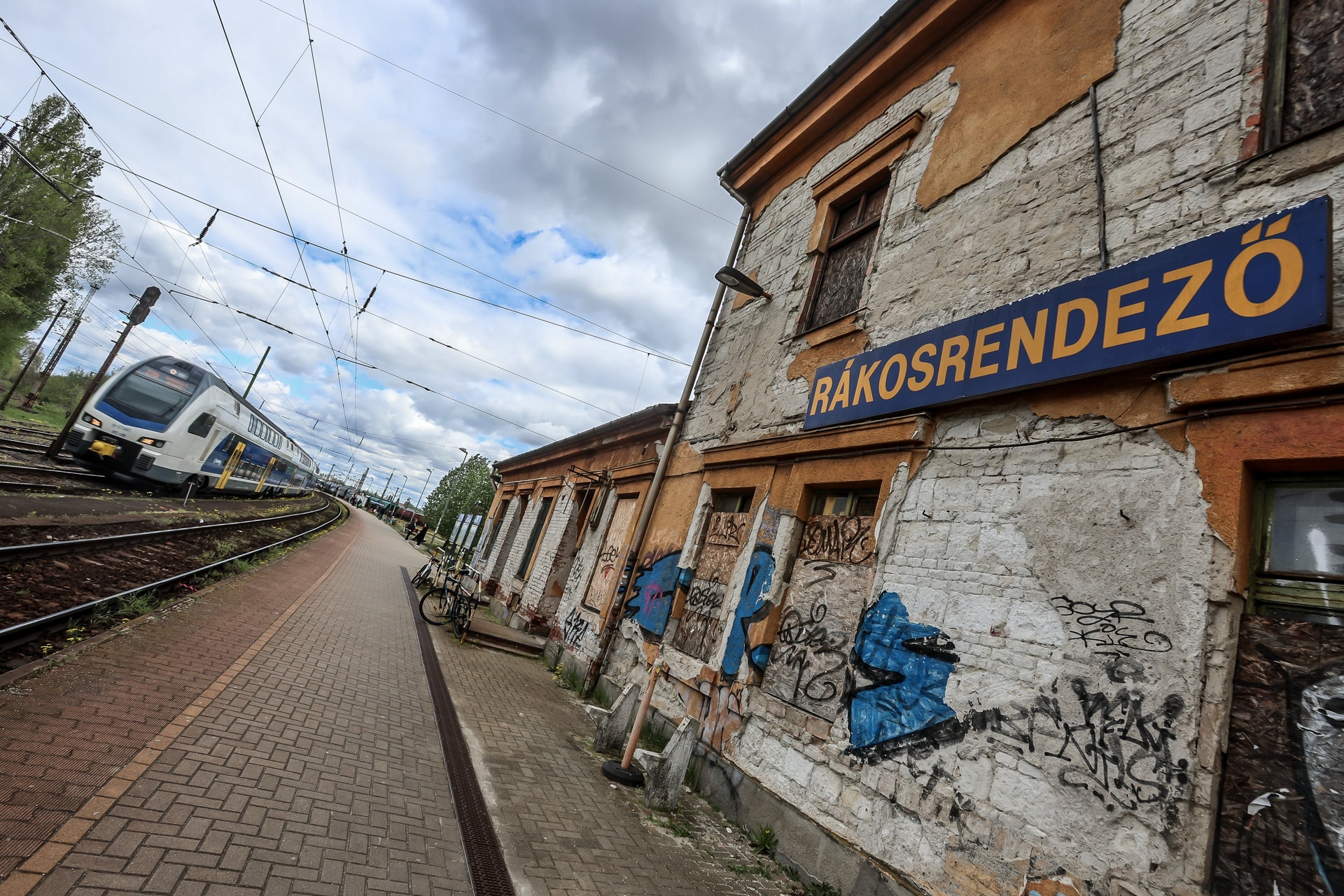 Mi lesz veled, Rákosrendező?