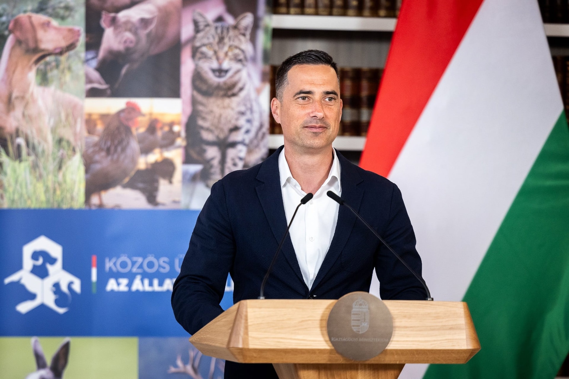 500 millió forintos pályázat az állatvédő civil szervezetek részére