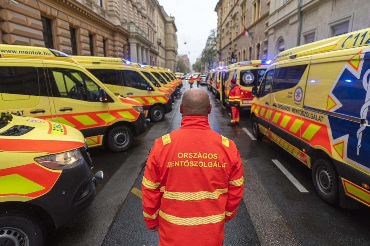 Elismeréseket adtak át az OMSZ születésnapján