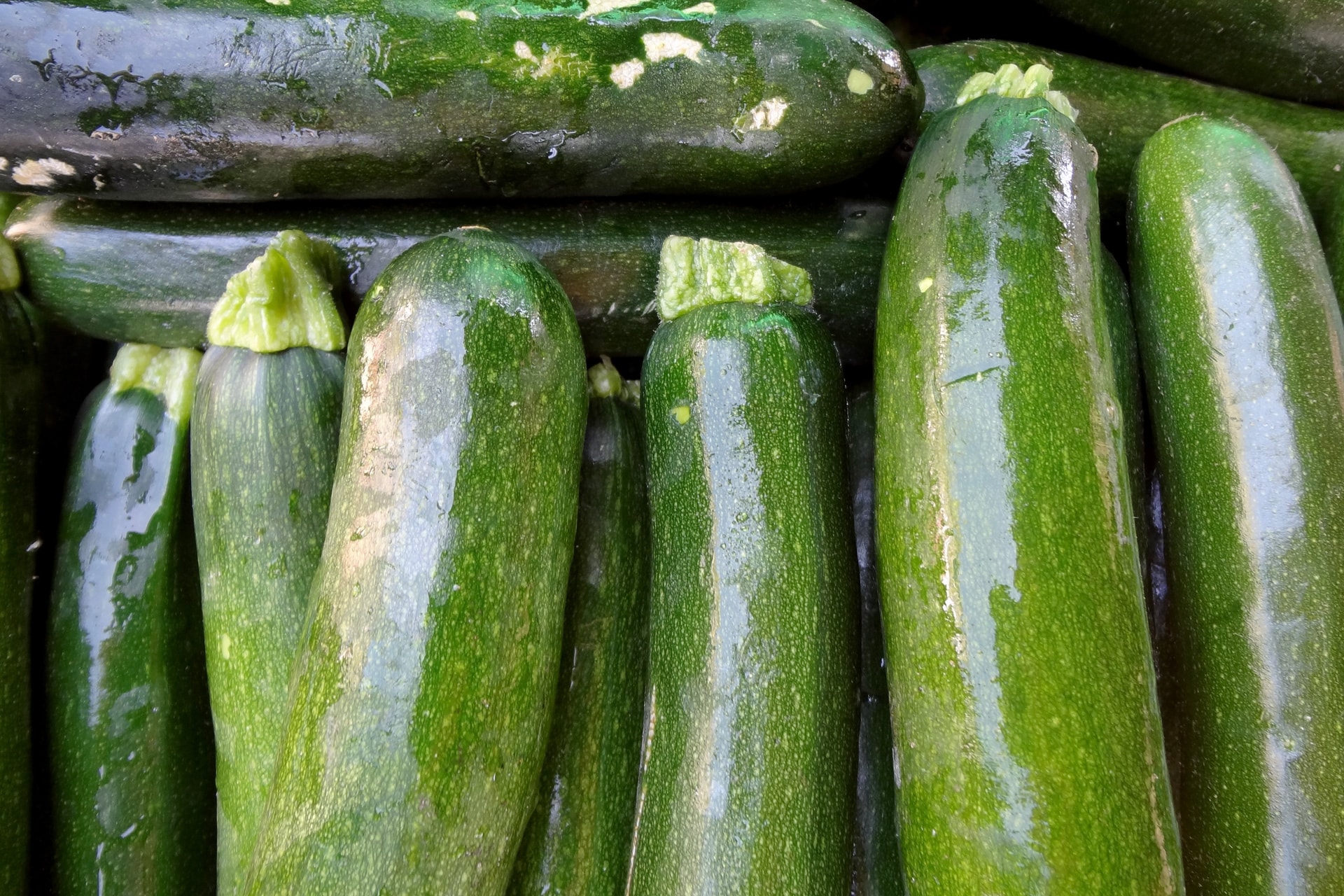 Segít a vérnyomás normális szinten tartásában, és megszabadítja a szervezetet a felesleges méreganyagoktól