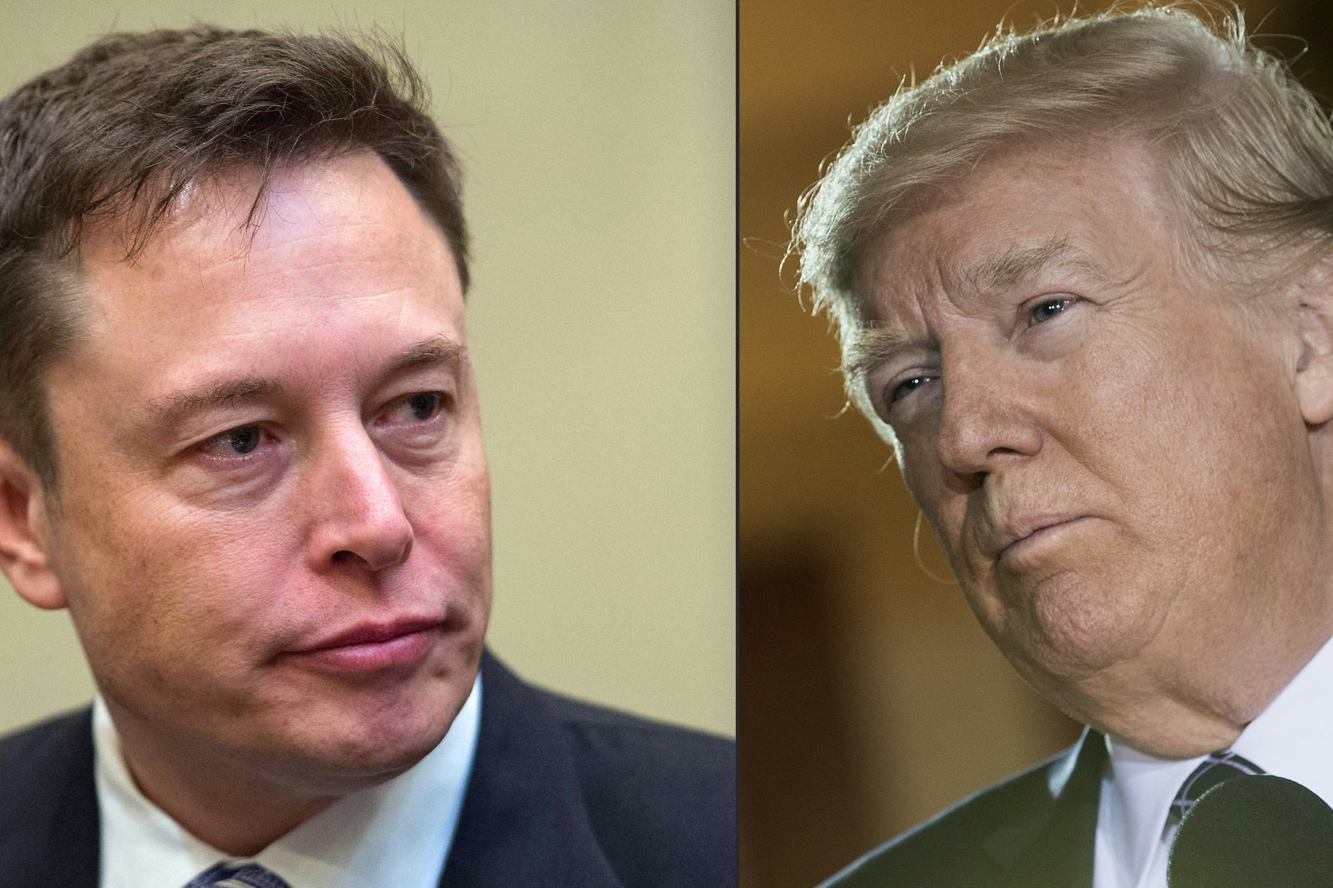 Trump őszintén elmondta, mit gondol Muskról