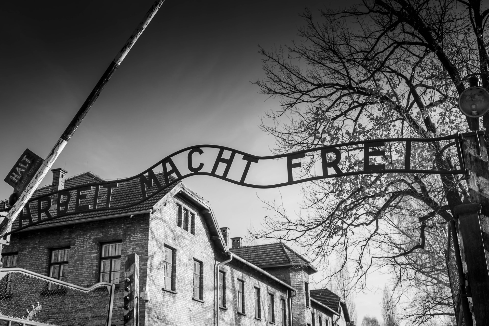 Tényleg volt Auschwitzban tetováló?