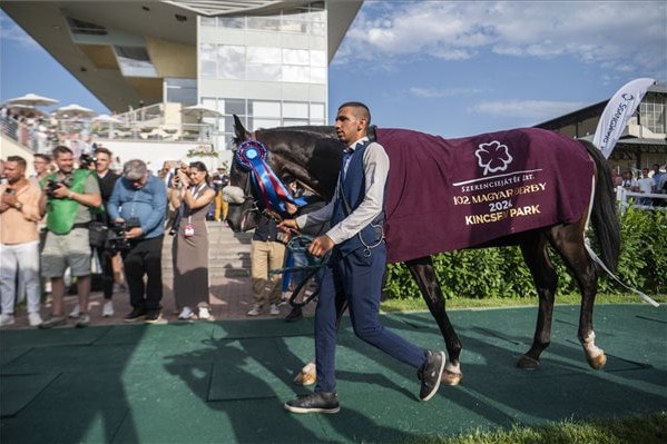 A favorit Géza nyerte a 102. Galopp Magyar Derbyt