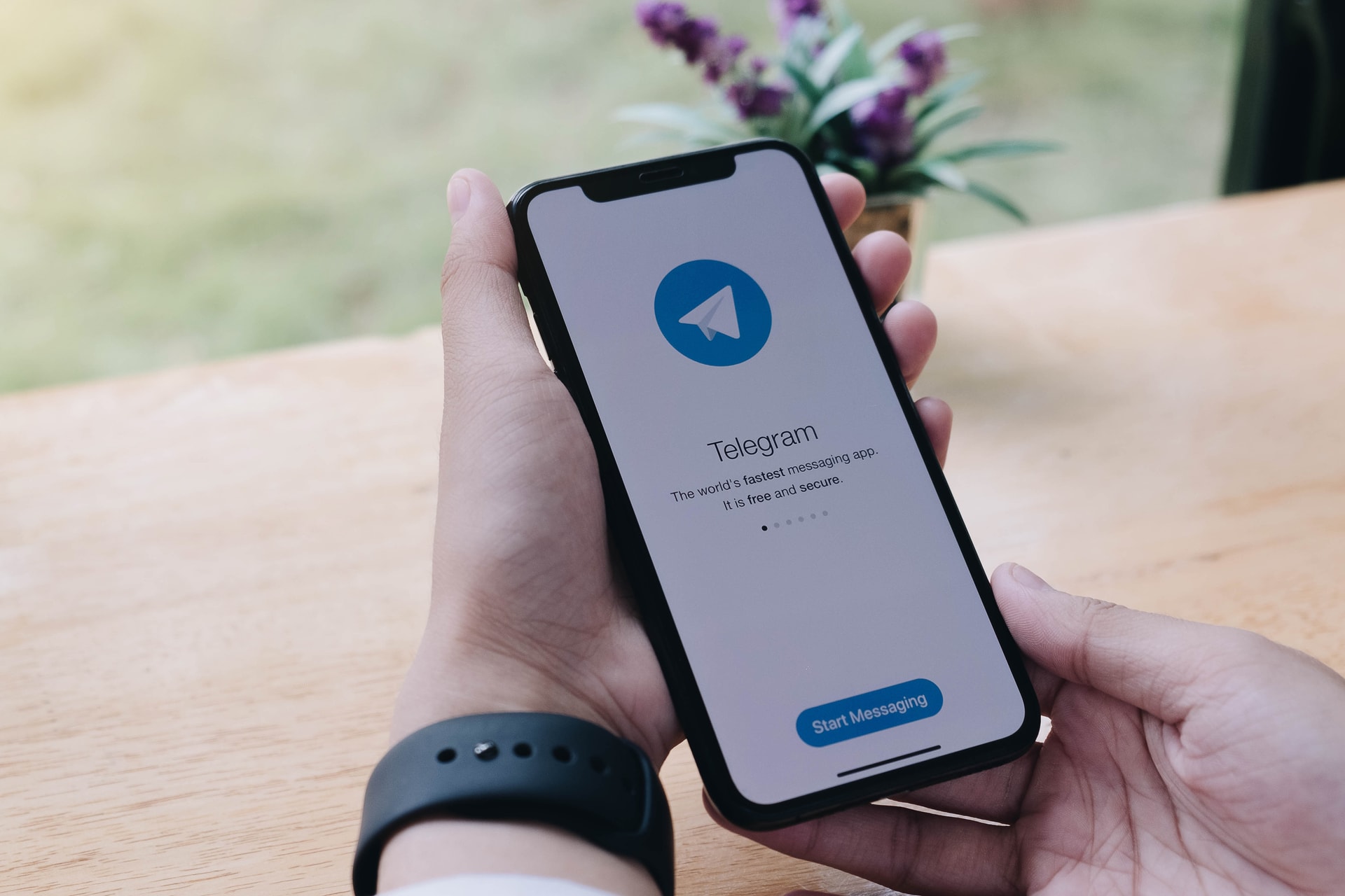 A holland főváros betiltotta a Telegram használatát a köztisztviselőinek