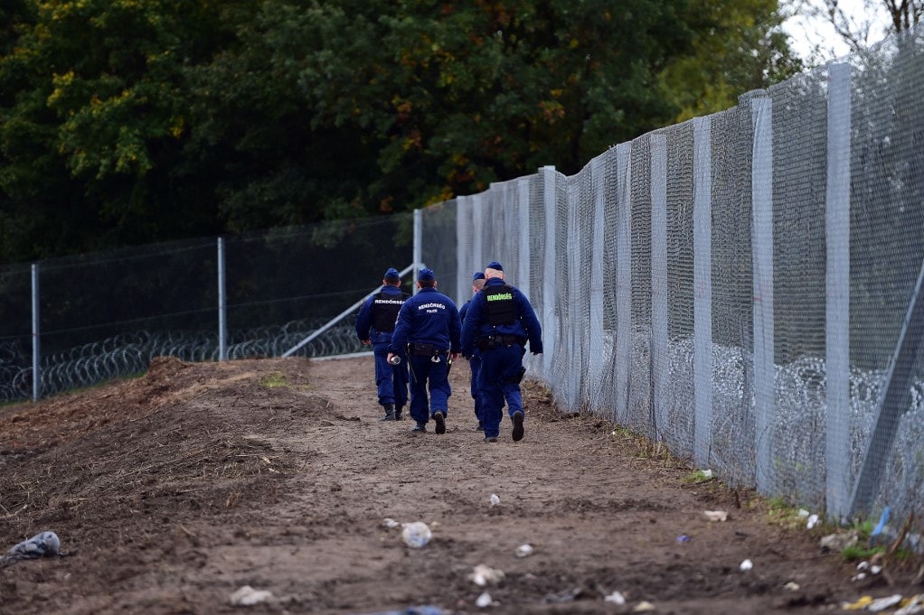 Szolgálatban: idén eddig 3100 határsértőt fogtak el a magyar–szerb határon