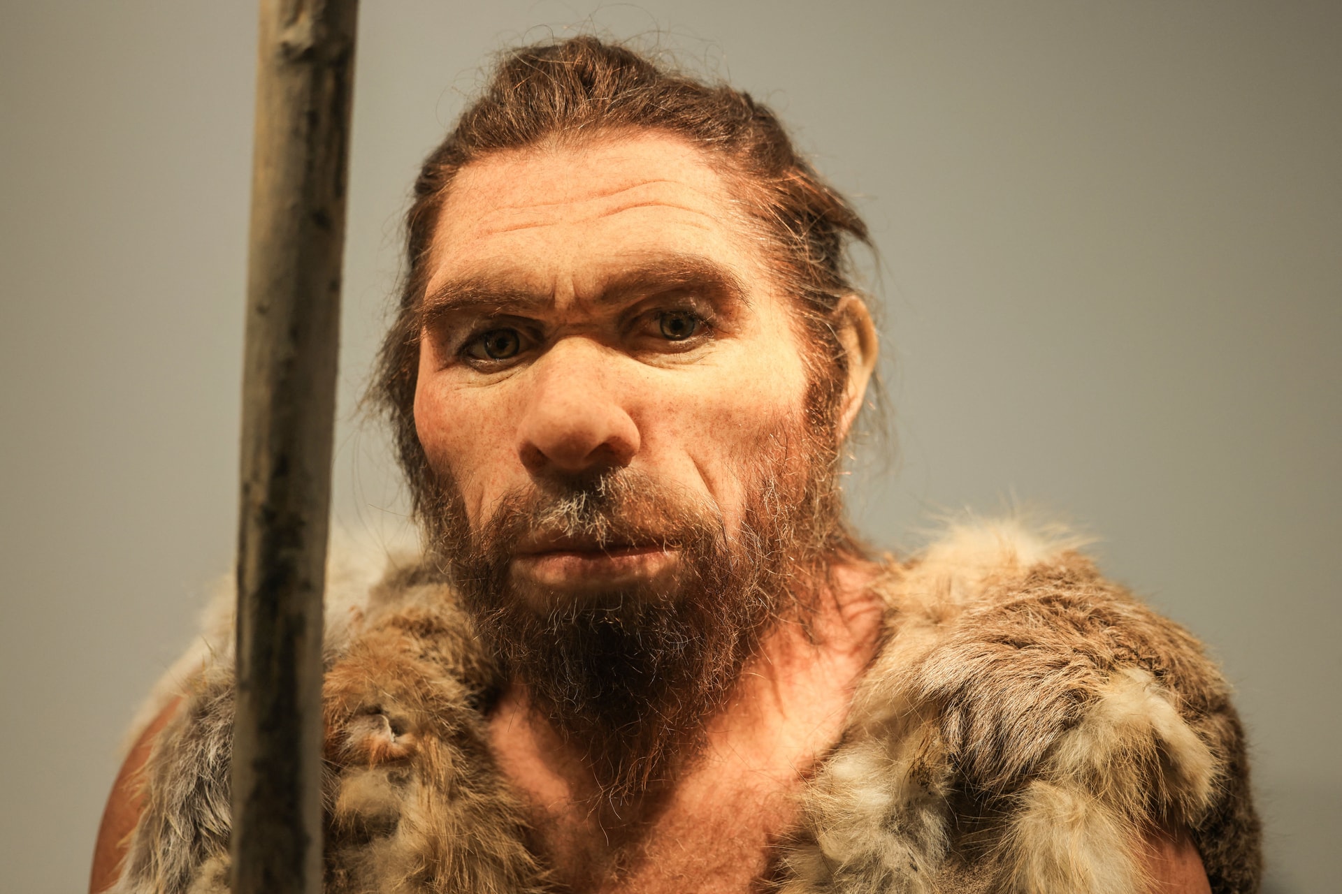 Fajunk kereszteződött a neandervölgyiekkel – és most már azt is tudjuk, hogy hol