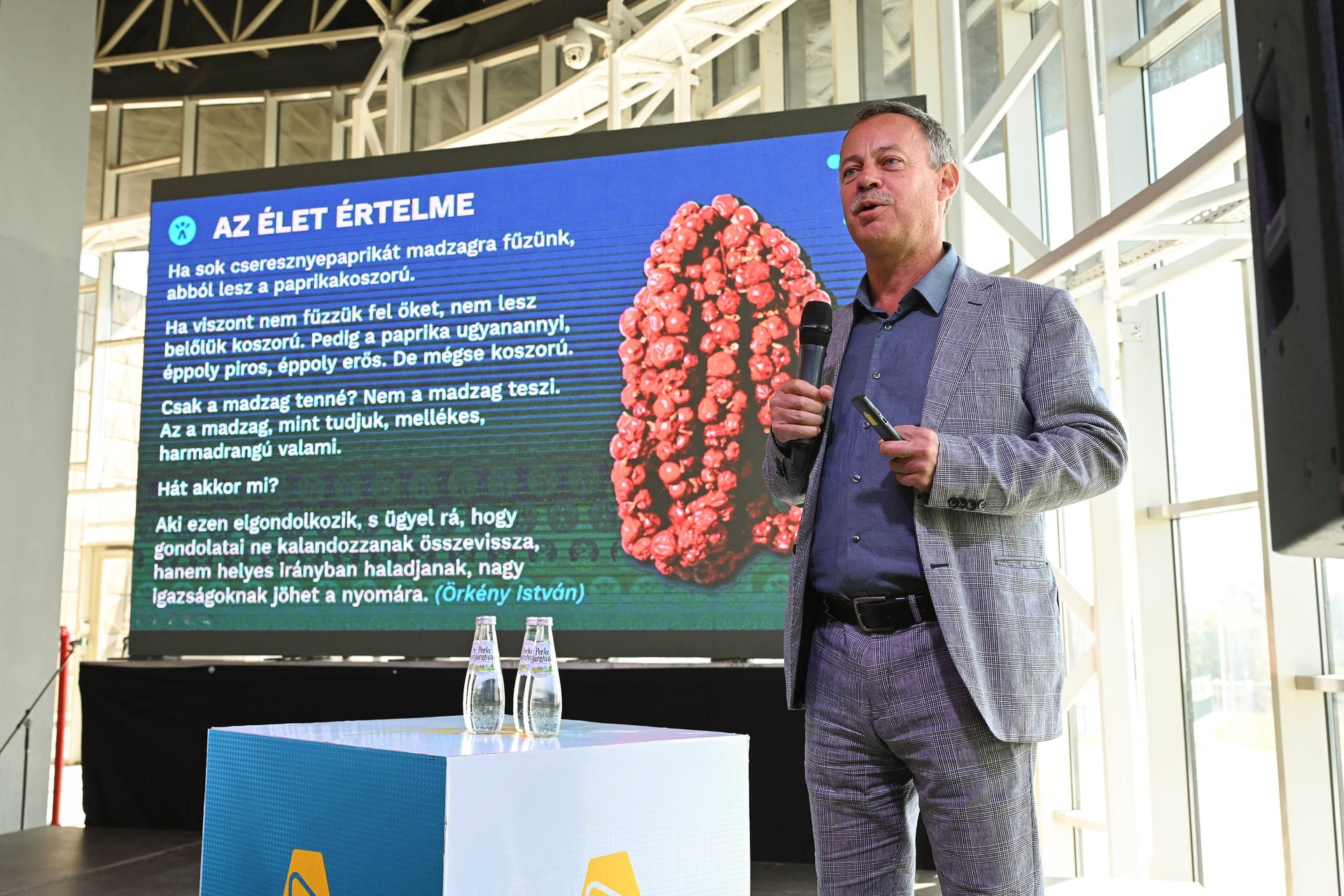 Révész Máriusz: az Aktív Magyarország program célkitűzése, hogy aktívabban, egészségesebben és jól éljenek az emberek