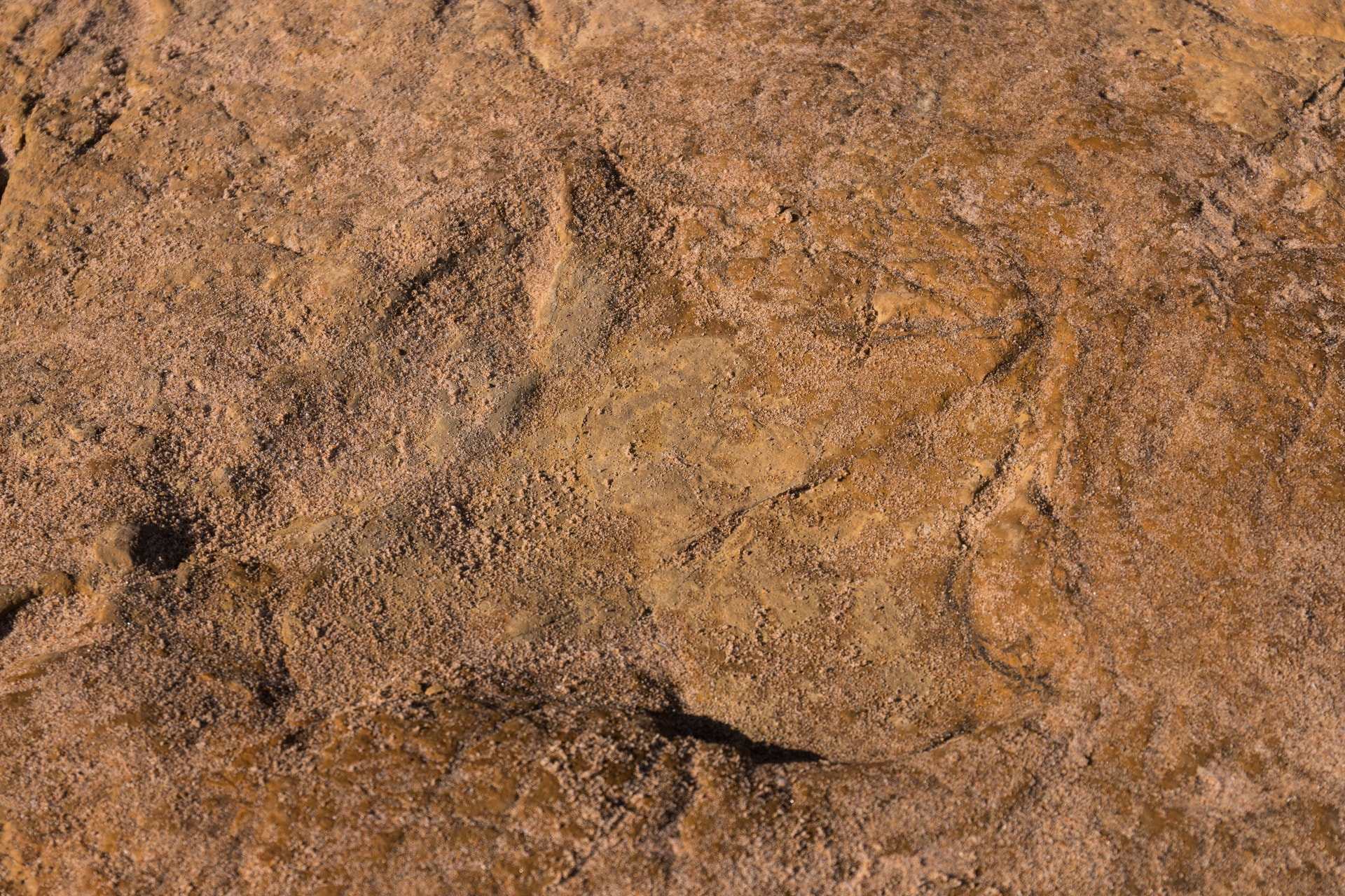 Repüljön át a világ leghosszabb összefüggő dinoszaurusznyomai felett + VIDEÓ