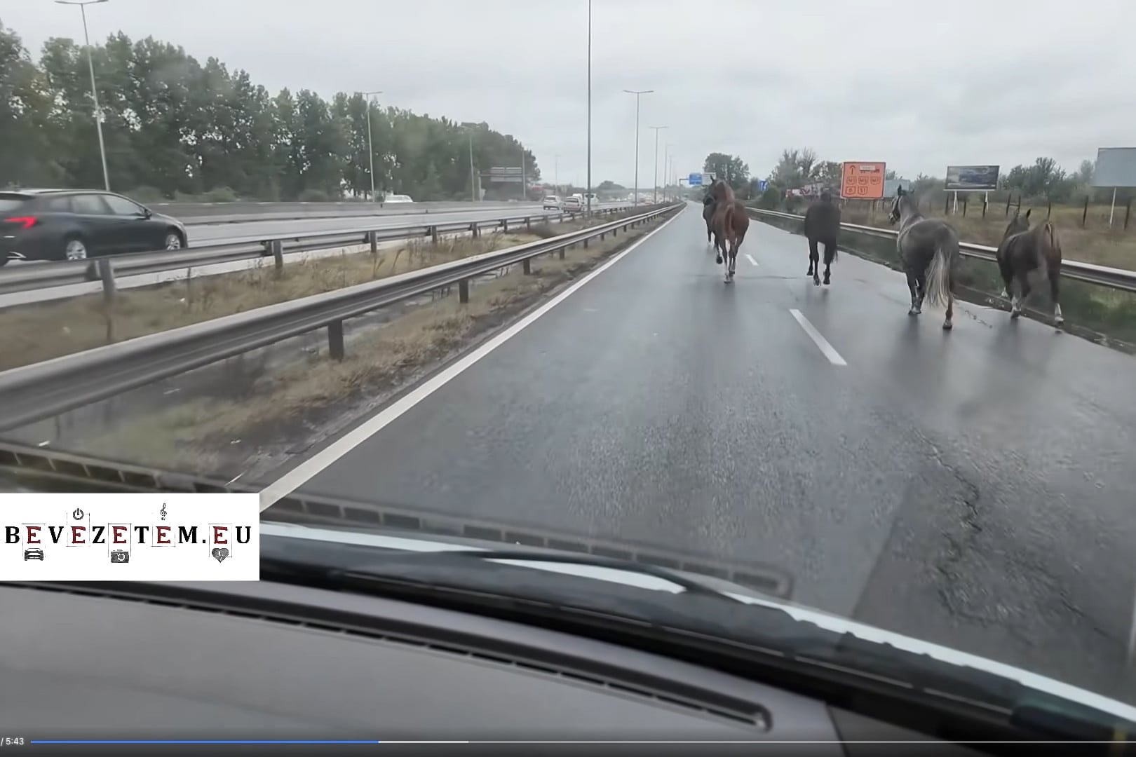 Lovak vágtáztak az M5-ösön + VIDEÓ