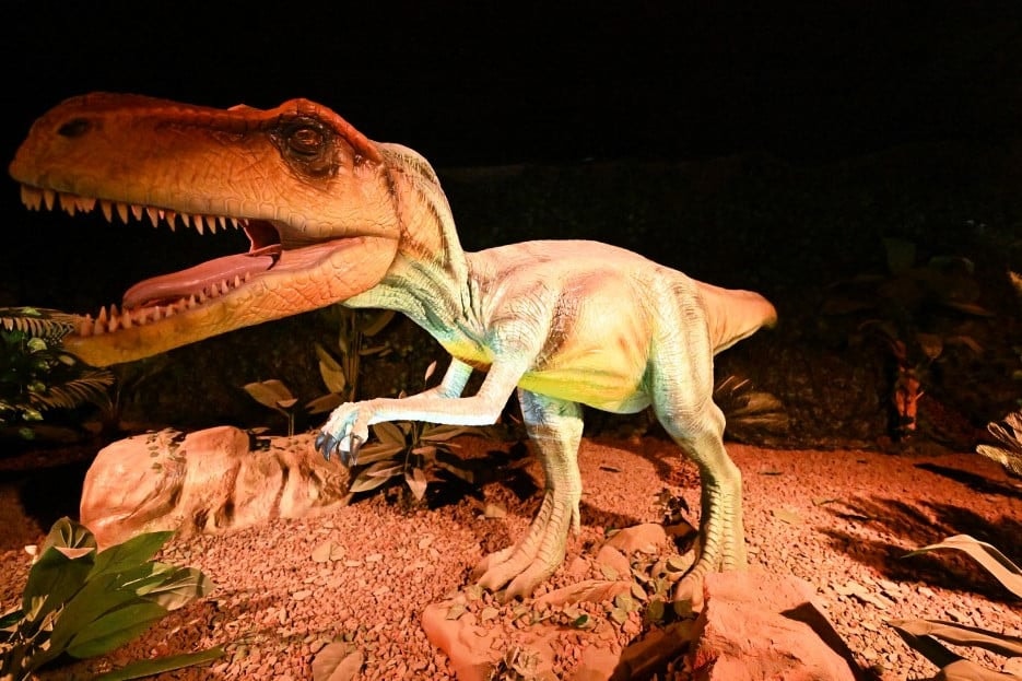 Ez a táplálkozás segített a dinoszauruszoknak