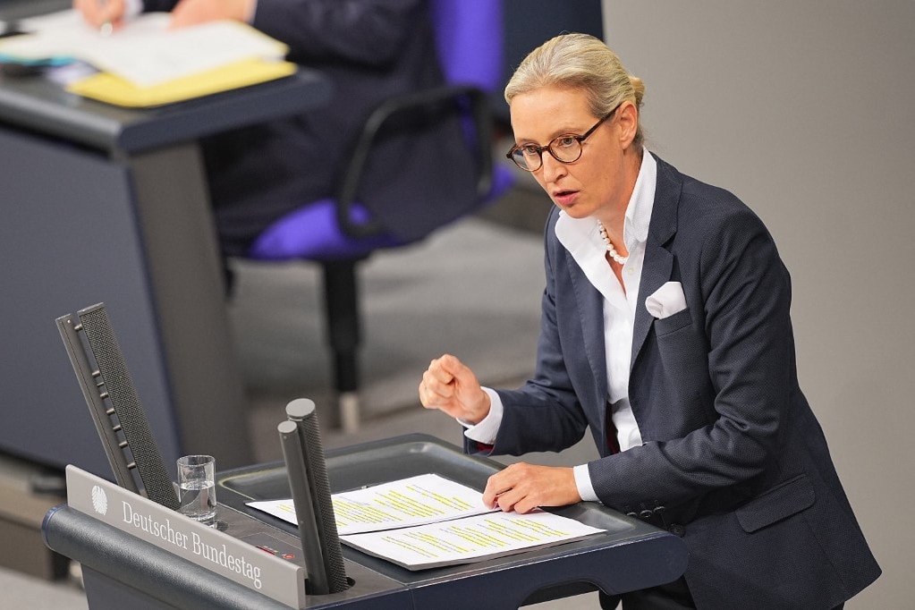 Egy repülőjegyre hasonlító szórólappal kampányol az AfD