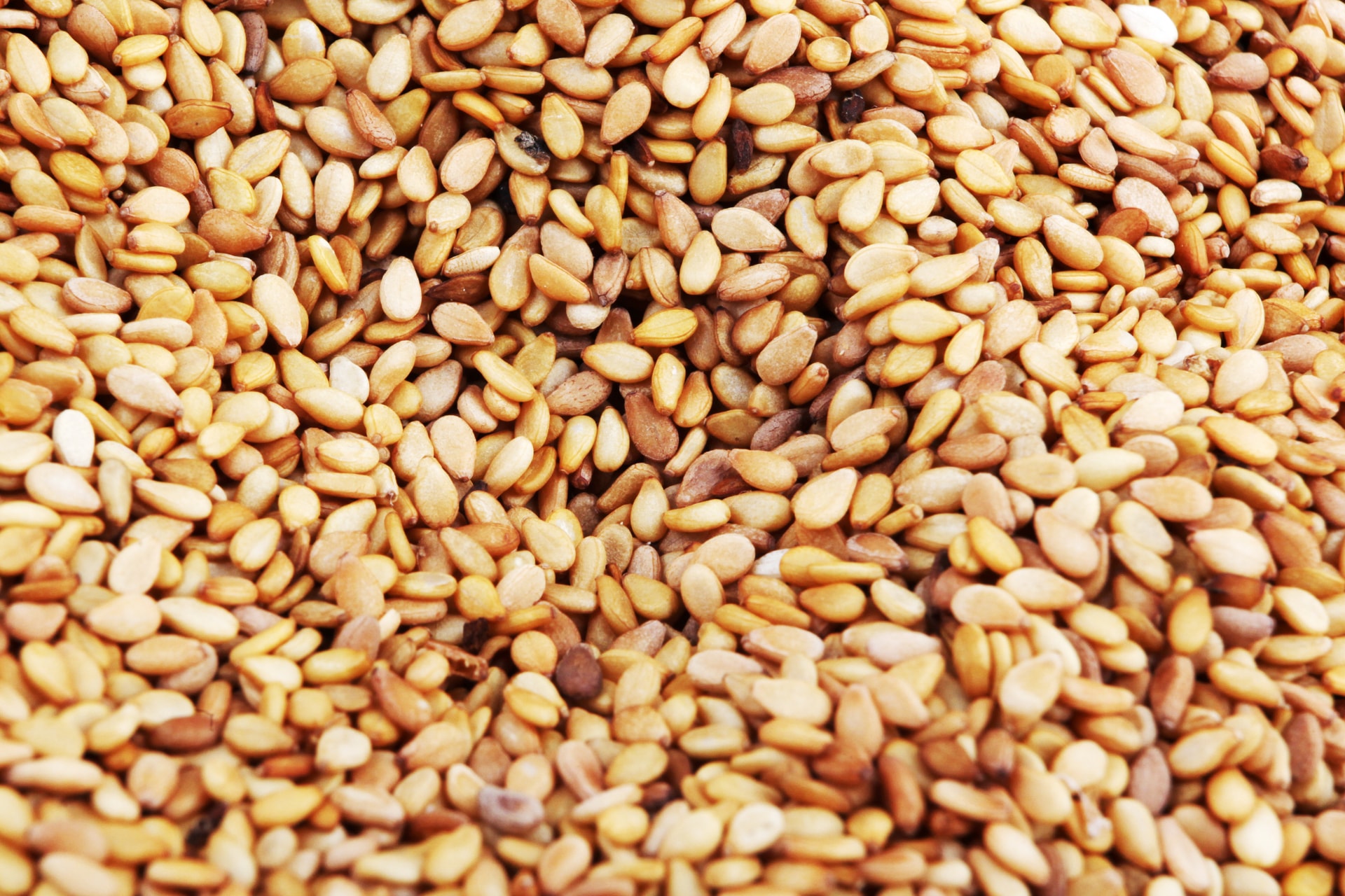 Fehérjét, rostot és vitaminokat tartalmaz