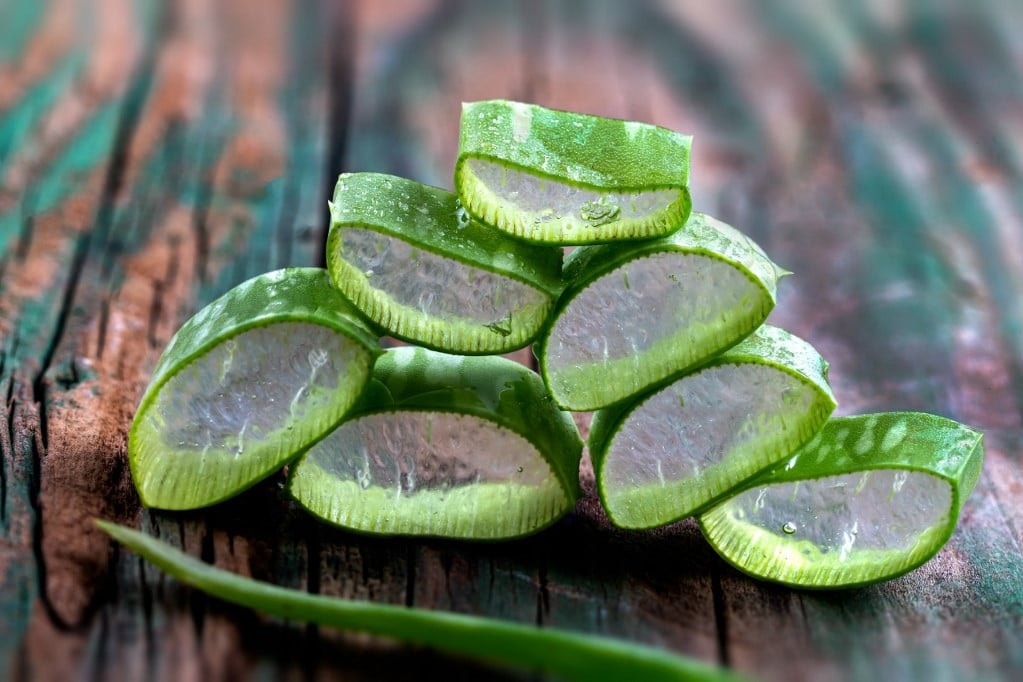 Az orvos megnevezte az aloe vera váratlan tulajdonságát