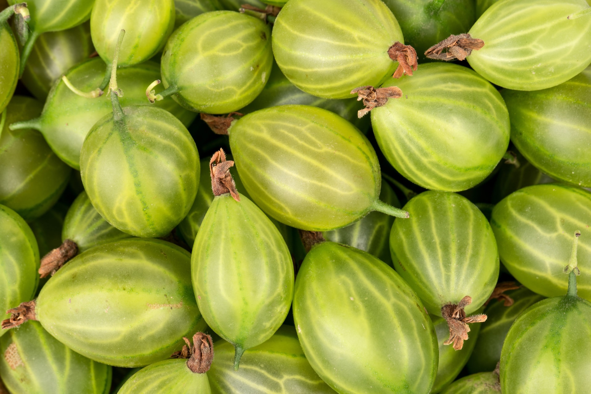 A májerősítő és szívvédő gyümölcs