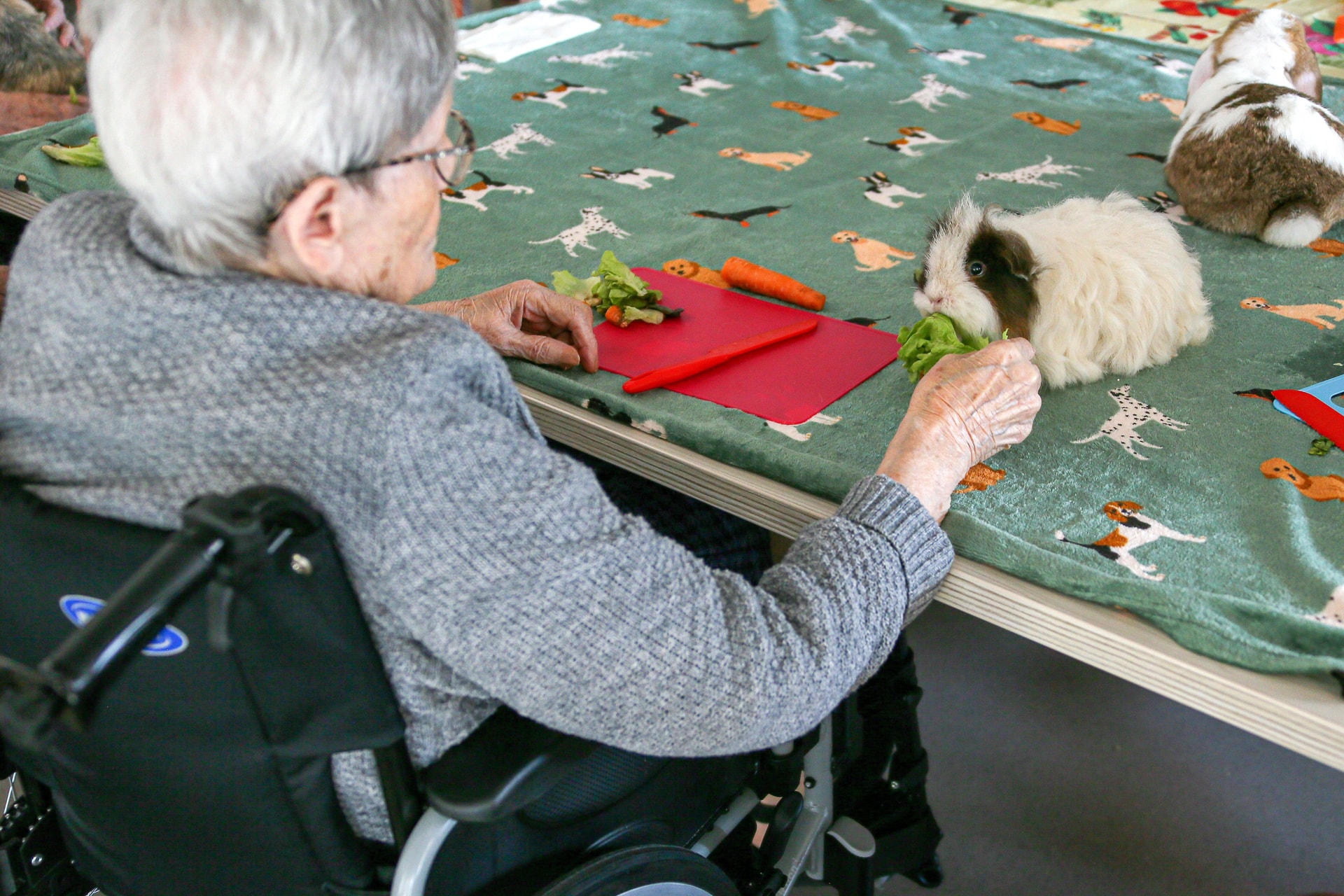 A diéta, amely csökkenti az Alzheimer-kór kockázatát