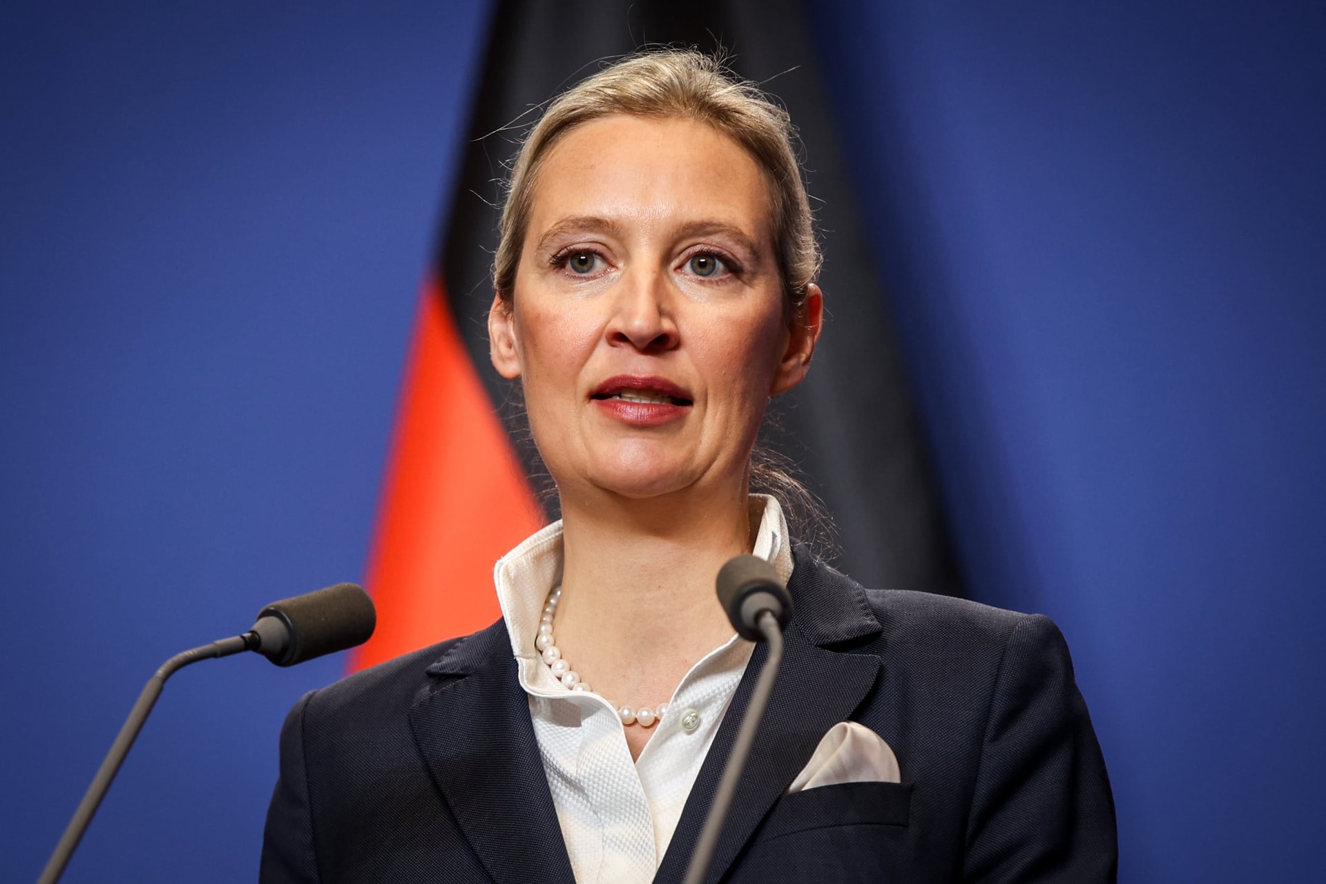 Alkotmányellenes pártnak minősítették az AfD-t