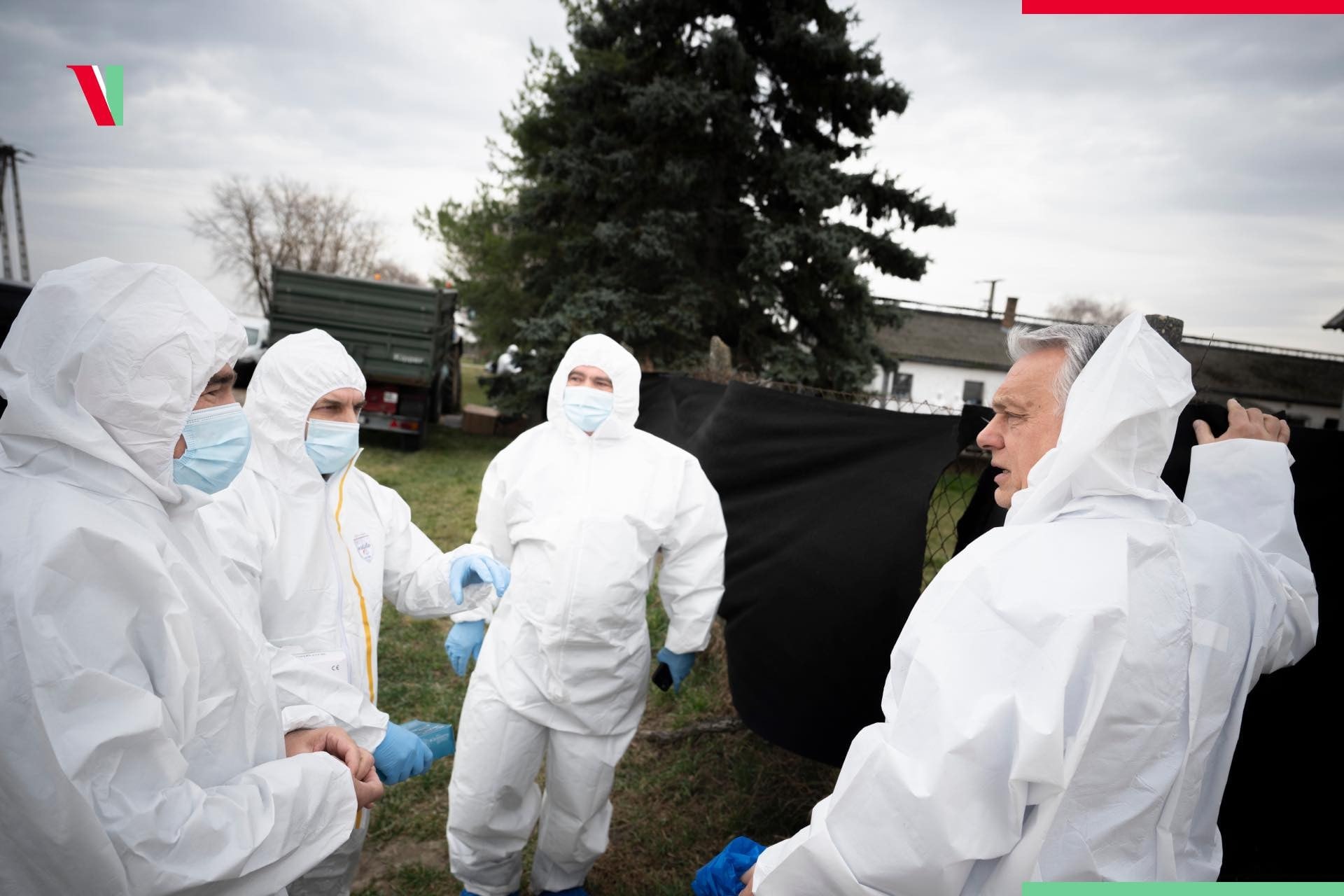 A száj- és körömfájás az egész országban hatalmas gazdasági károkat okoz