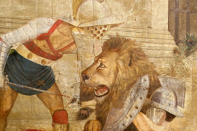 Döbbenetes bizonyíték a gladiátorokról