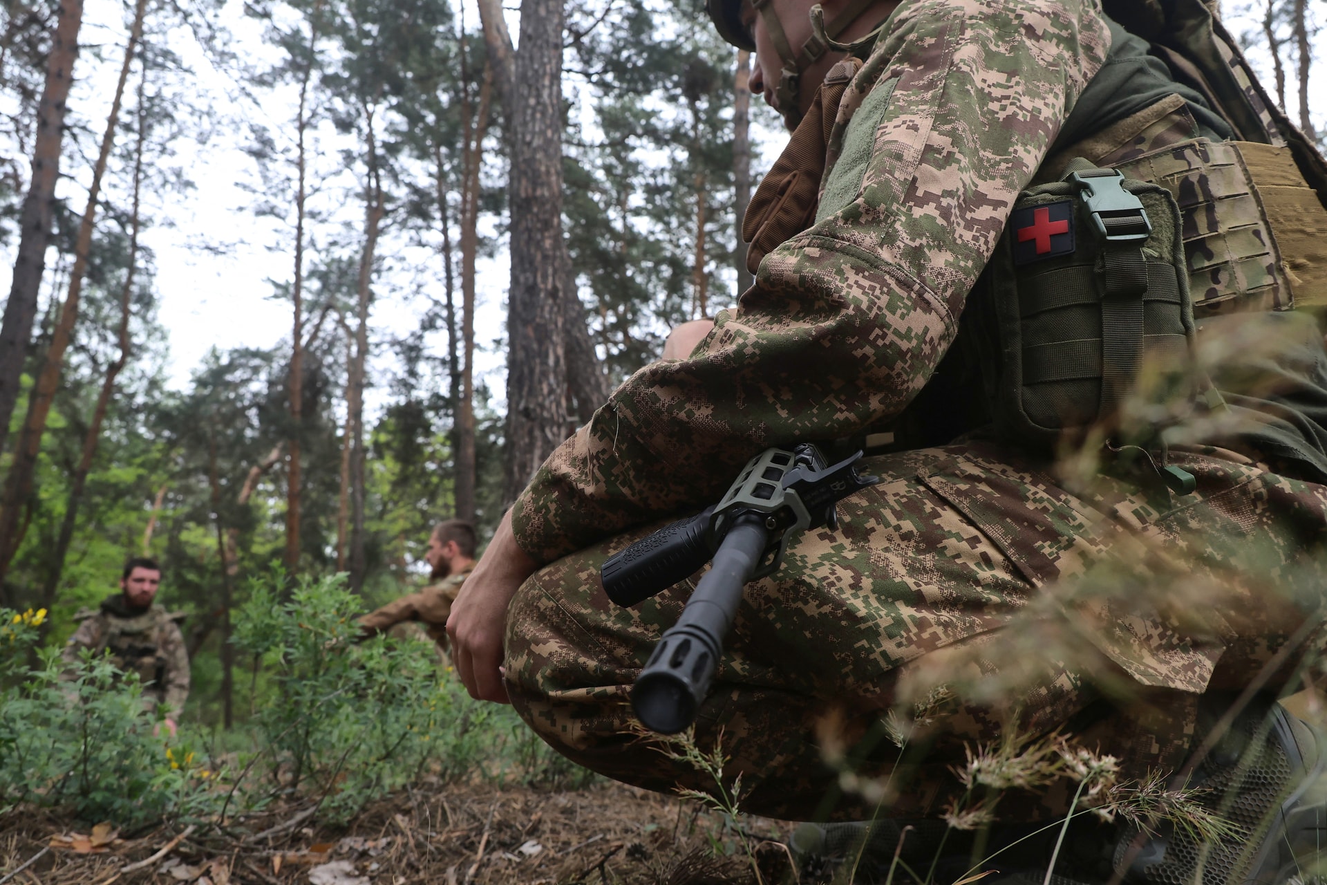 Az ukrán fegyveres erők kiábrándító kilátásai