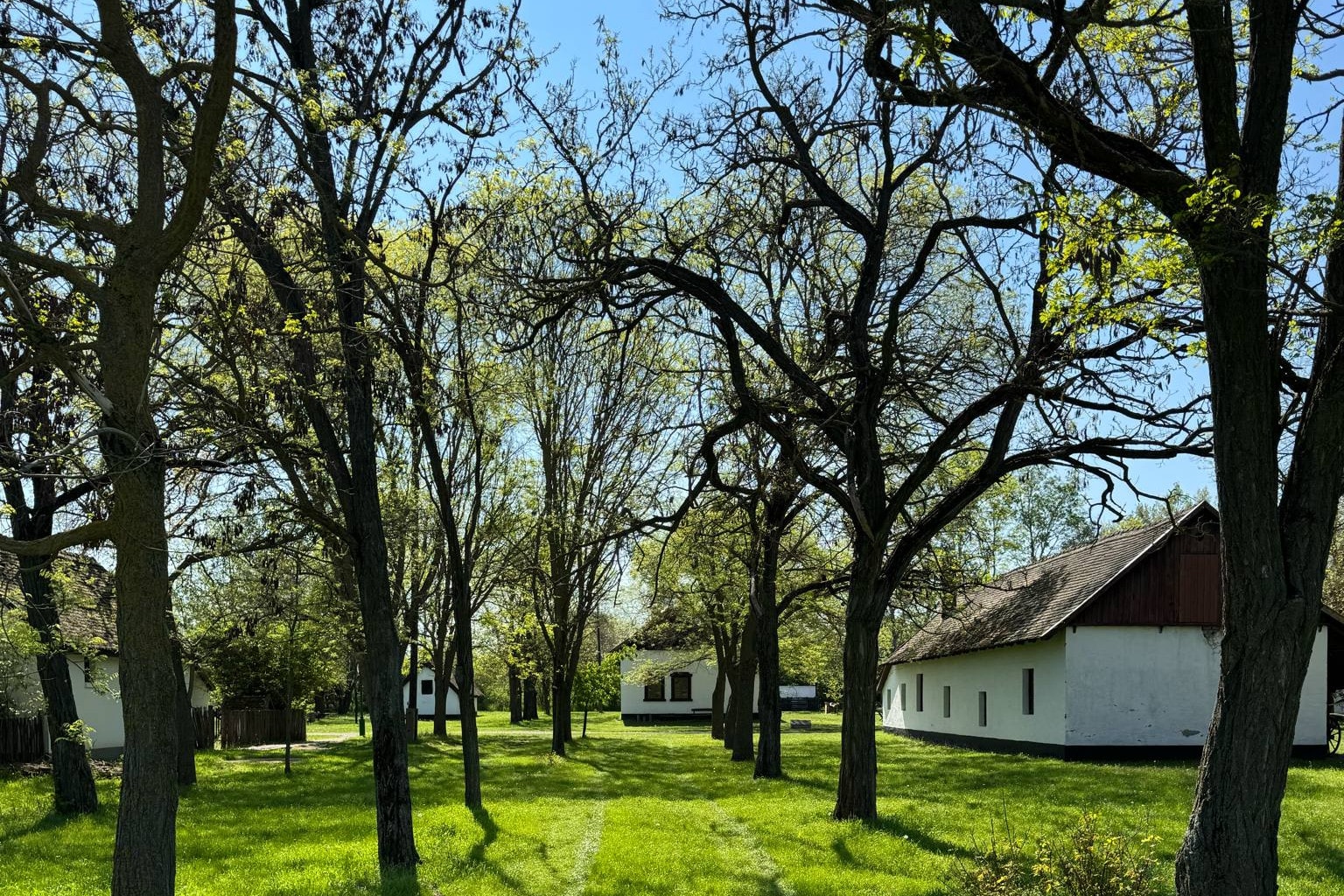 Az ópusztaszeri emlékpark az Év emlékhelye